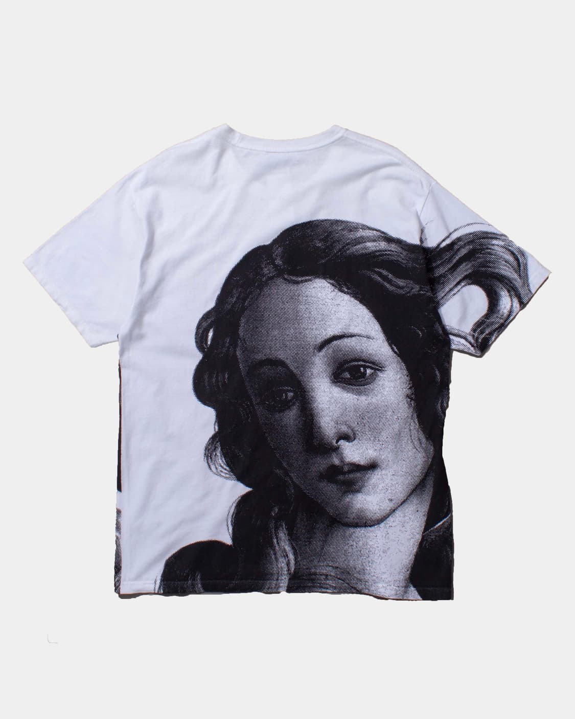 STUSSY 스투시 비너스 티셔츠 상품이미지4