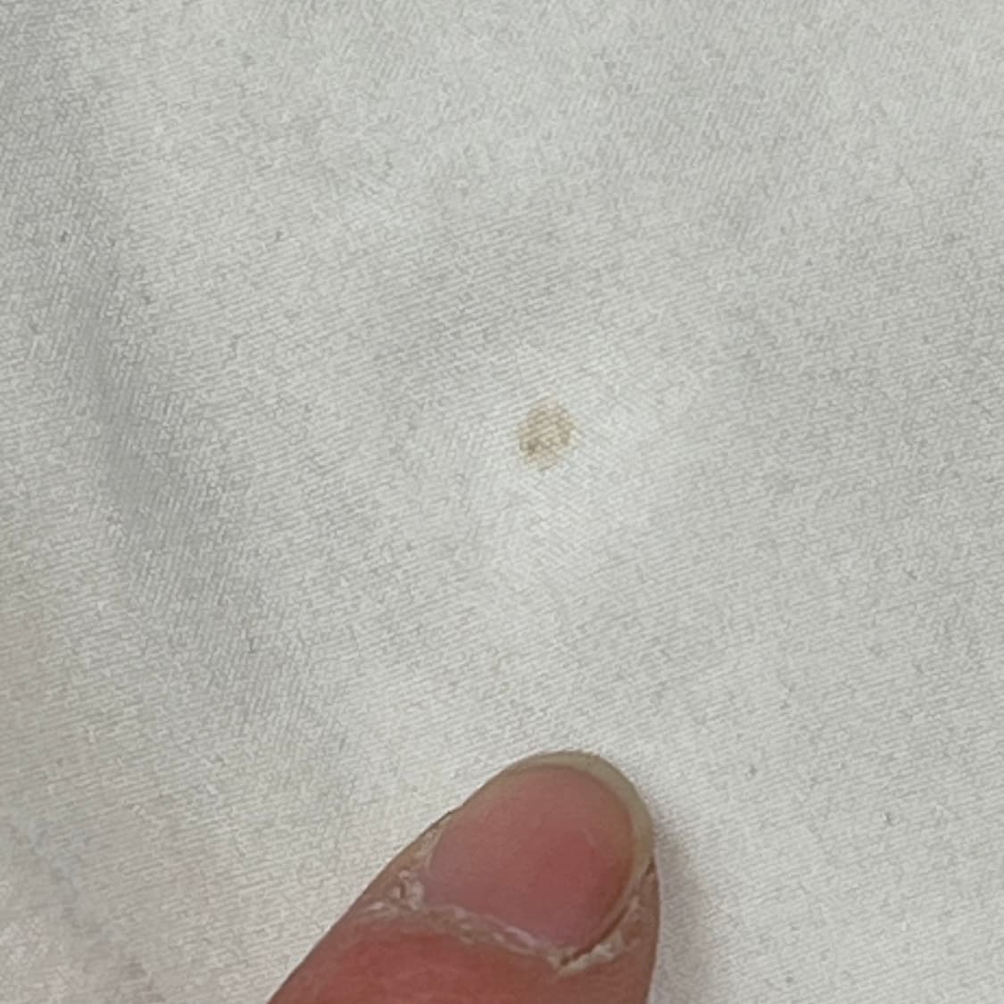 폴로 랄프로렌 신형큐알 스윔팬츠 s10459 상품이미지6