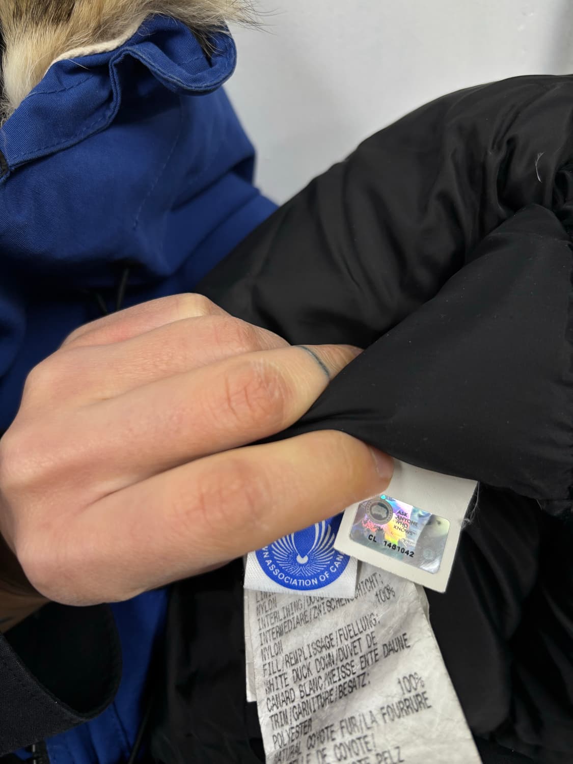 캐나다구스 익스페디션 파카 상품이미지9