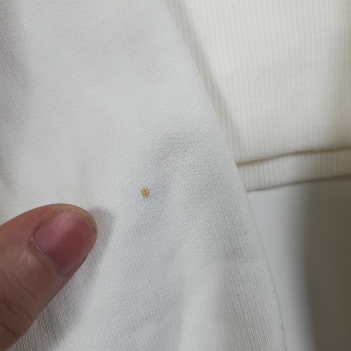 렉토 헤비웨이트 크롭 맨투맨  상품이미지5