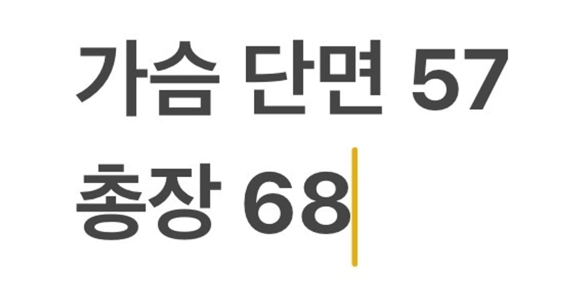 [정품/L] 챔피온 퀼팅 자켓 경량 패딩 b15 상품이미지8