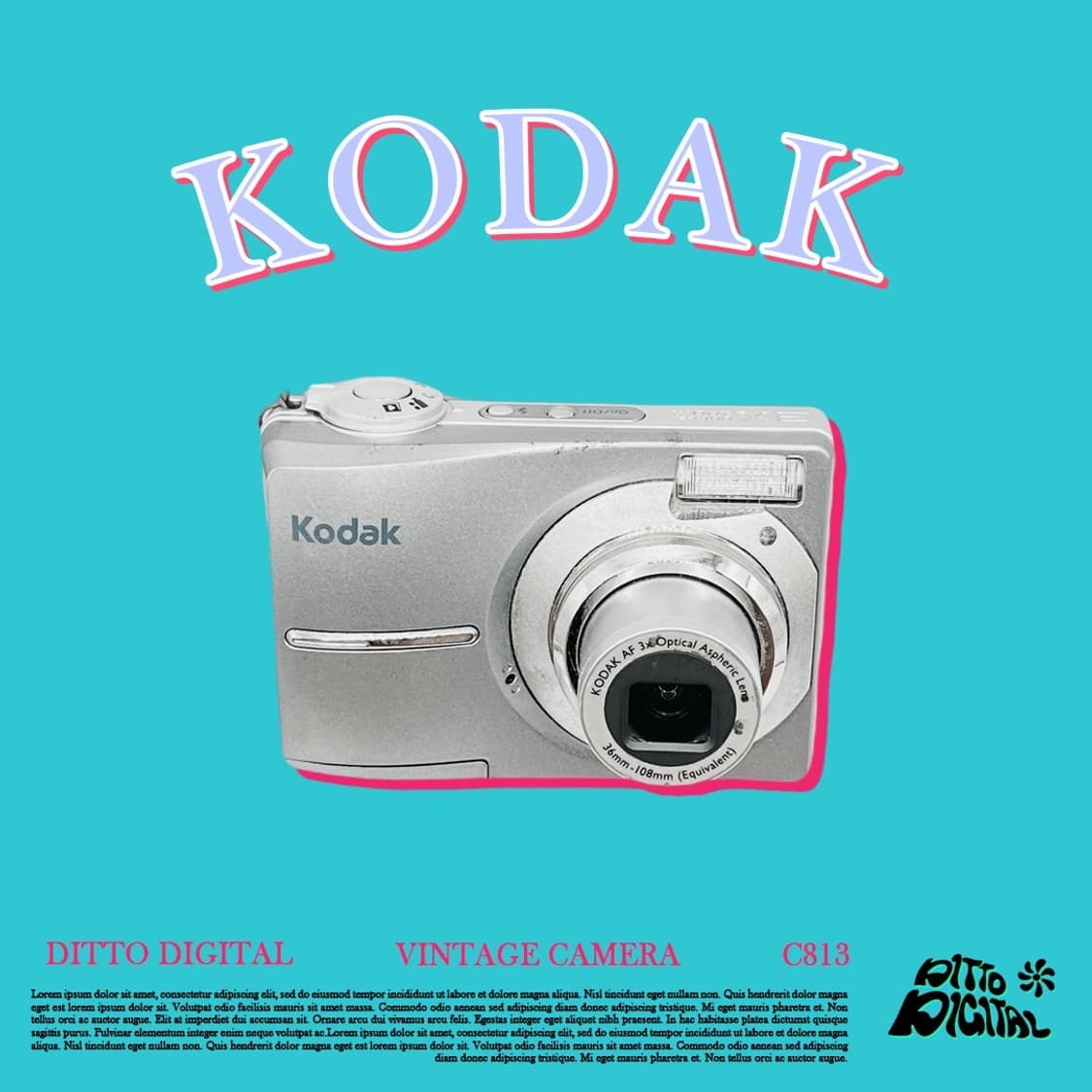 Kodak Easysahre C813 상품이미지1