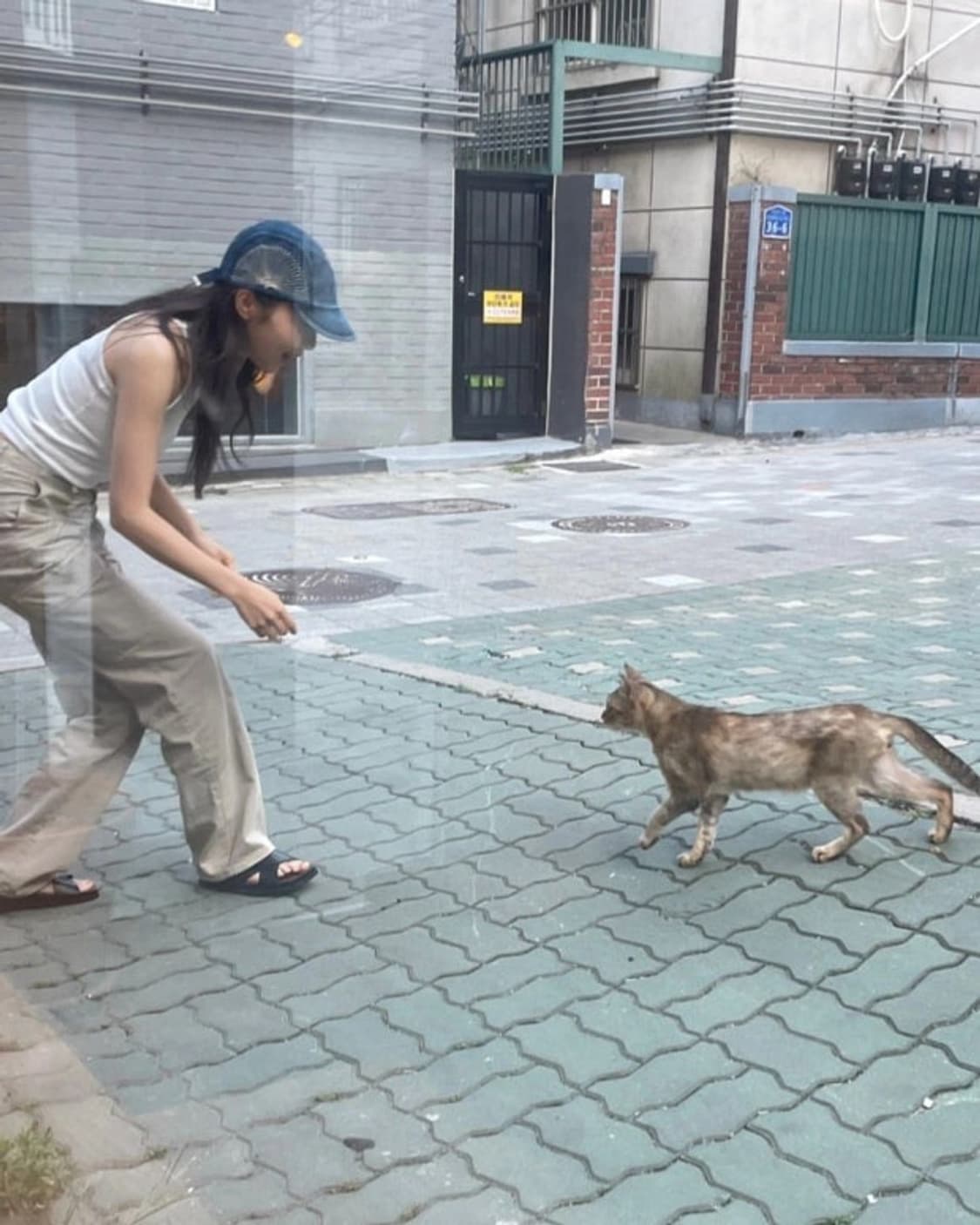 캐피탈 사시코 데님 캡 상품이미지2