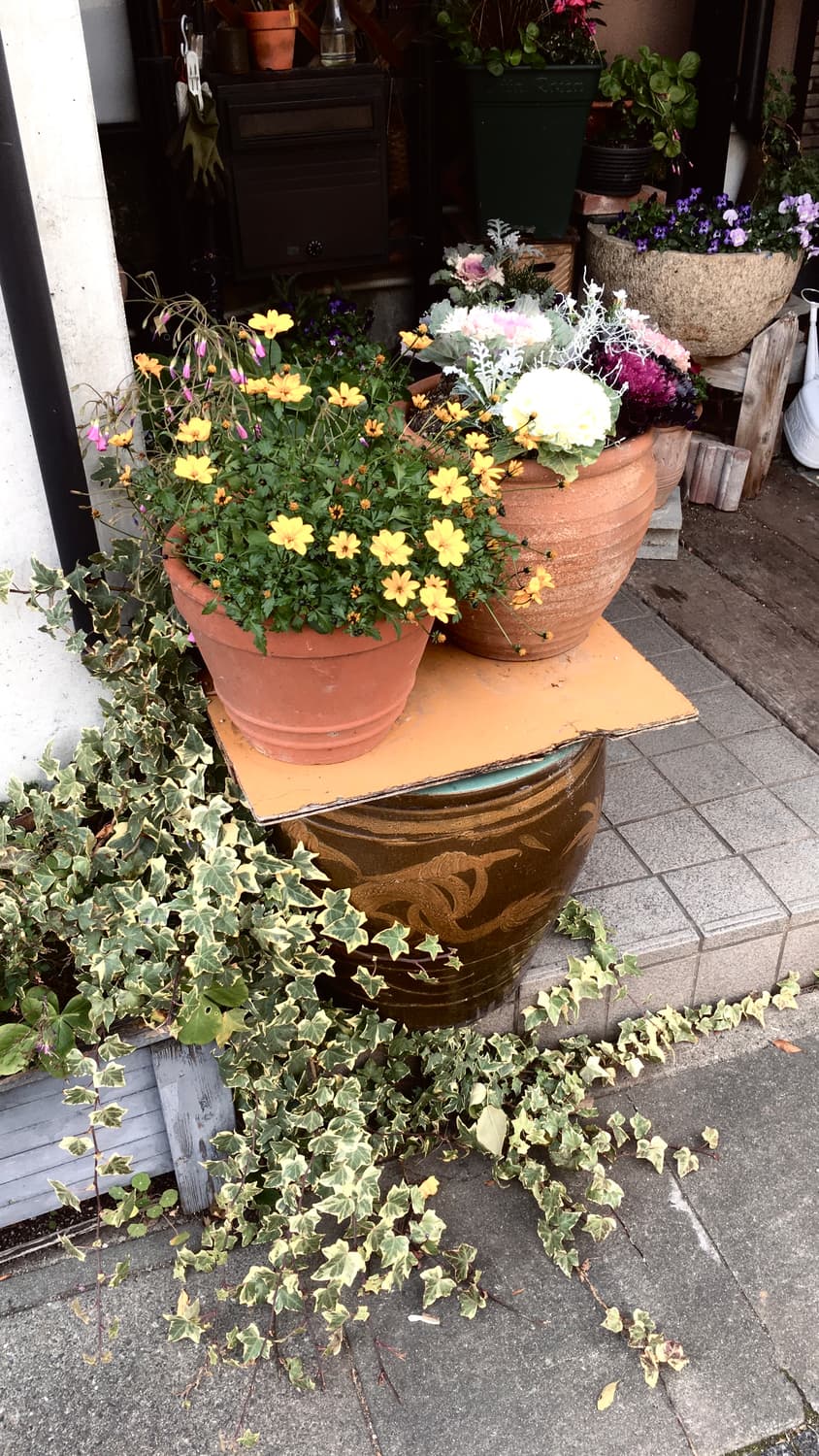 iPhone XR 64GB (순정) 상품이미지7