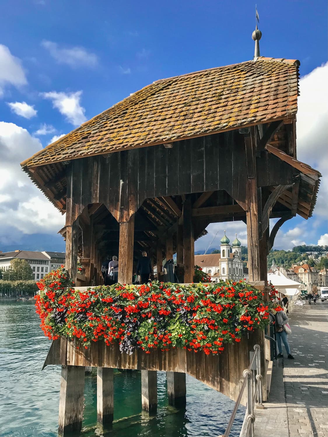 [레어] Panasonic FS62 (파나소닉 루믹스 DMC-FS62) 상품이미지10