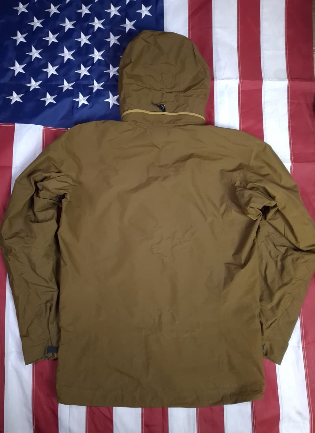 오리지날 아크테릭스 베타 AR 고어텍스 자켓 상품이미지10