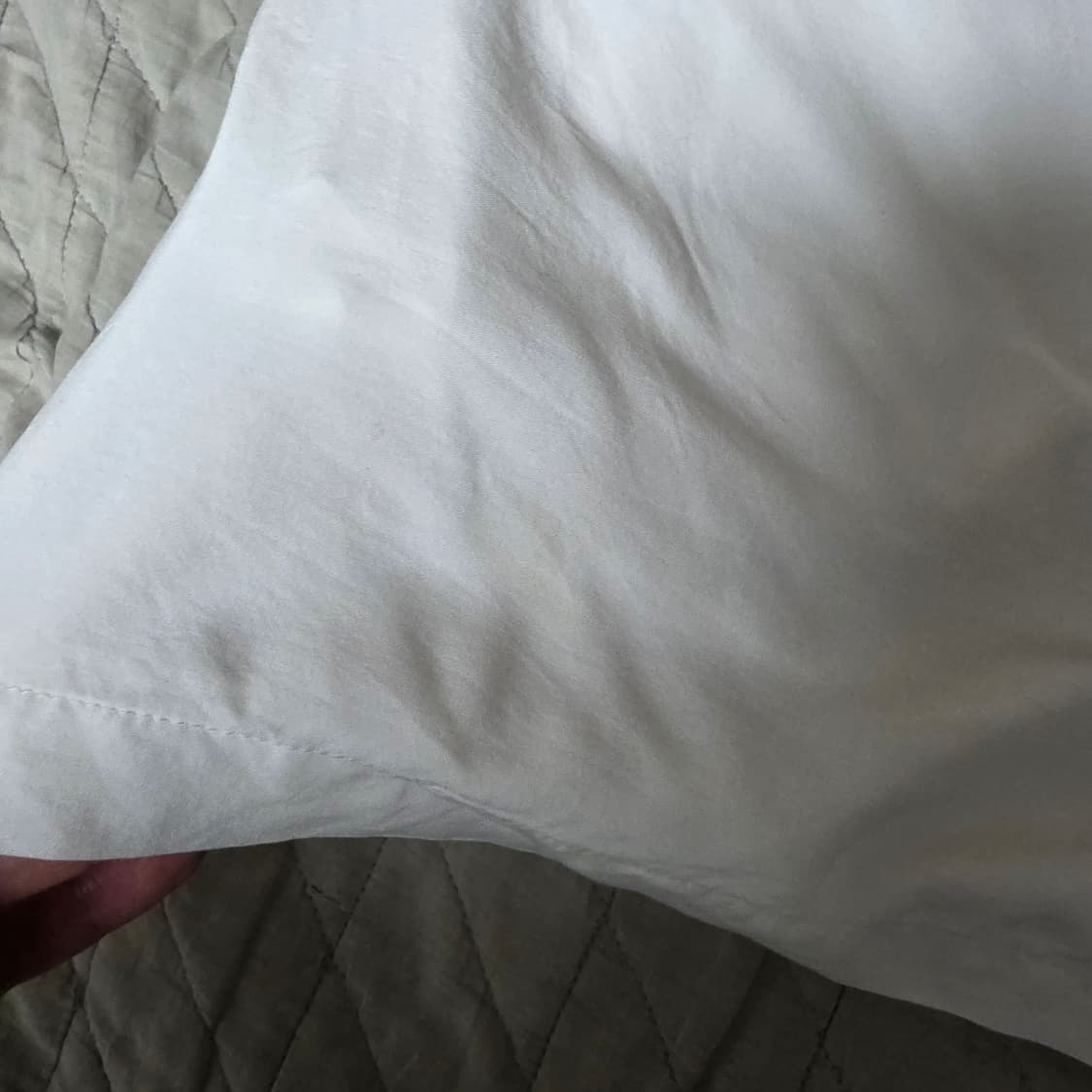 [L] 스투시 비너스 하프팬츠 / 쇼츠 상품이미지5