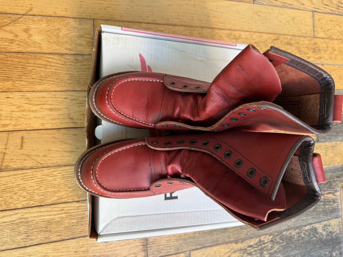 레드윙 아이리쉬세터 상품이미지5