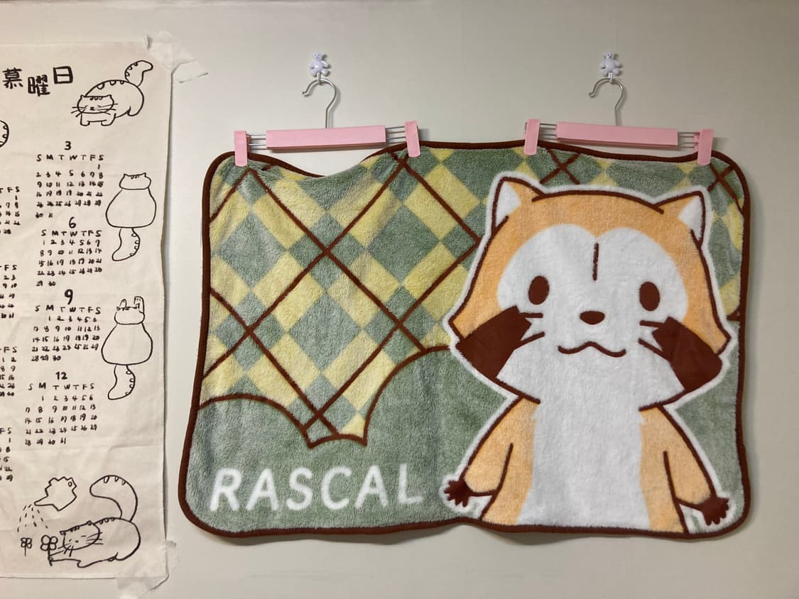 라스칼 너구리 담요 상품이미지1