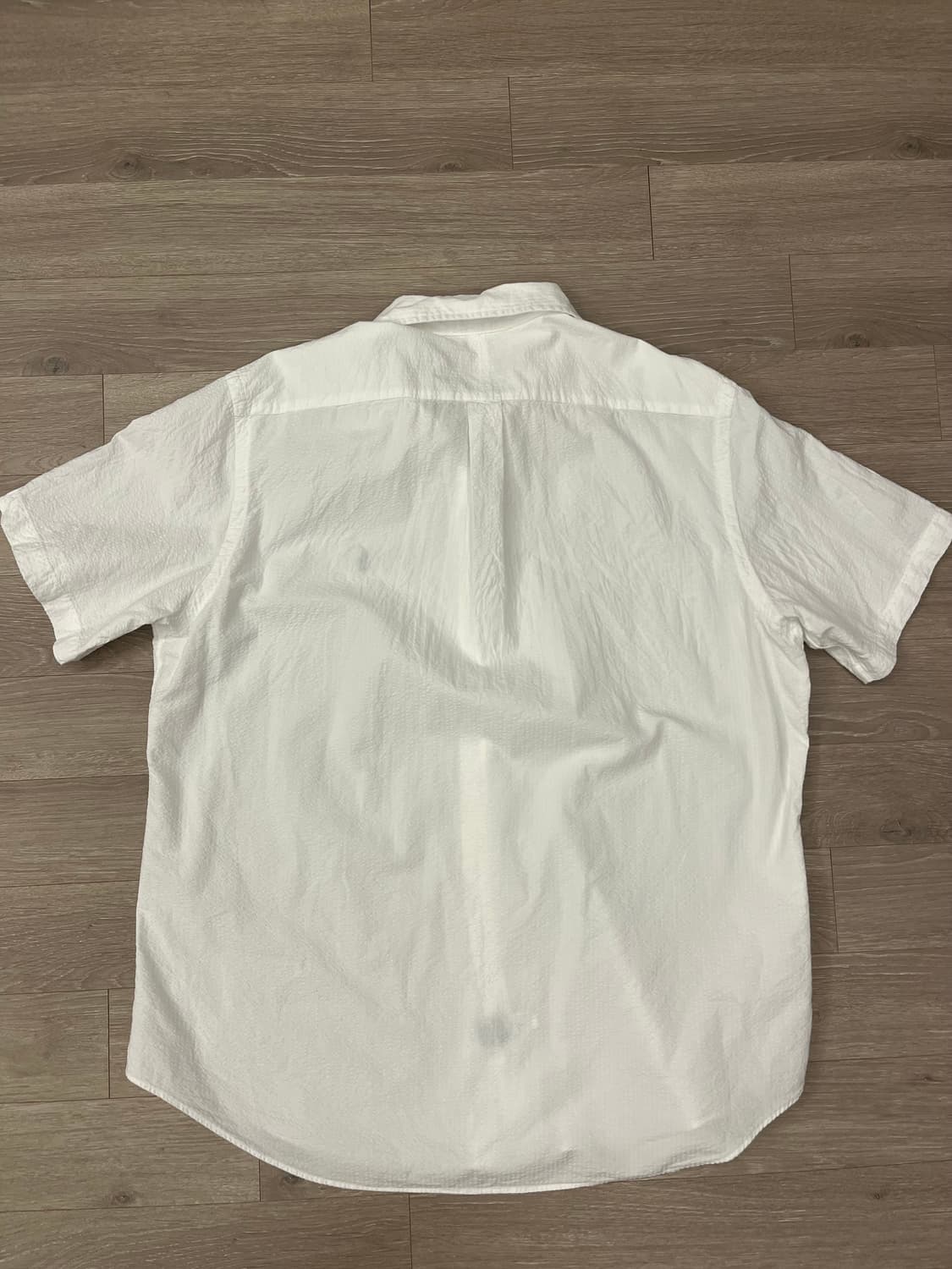 Polo ralphlauren half shirts 상품이미지5