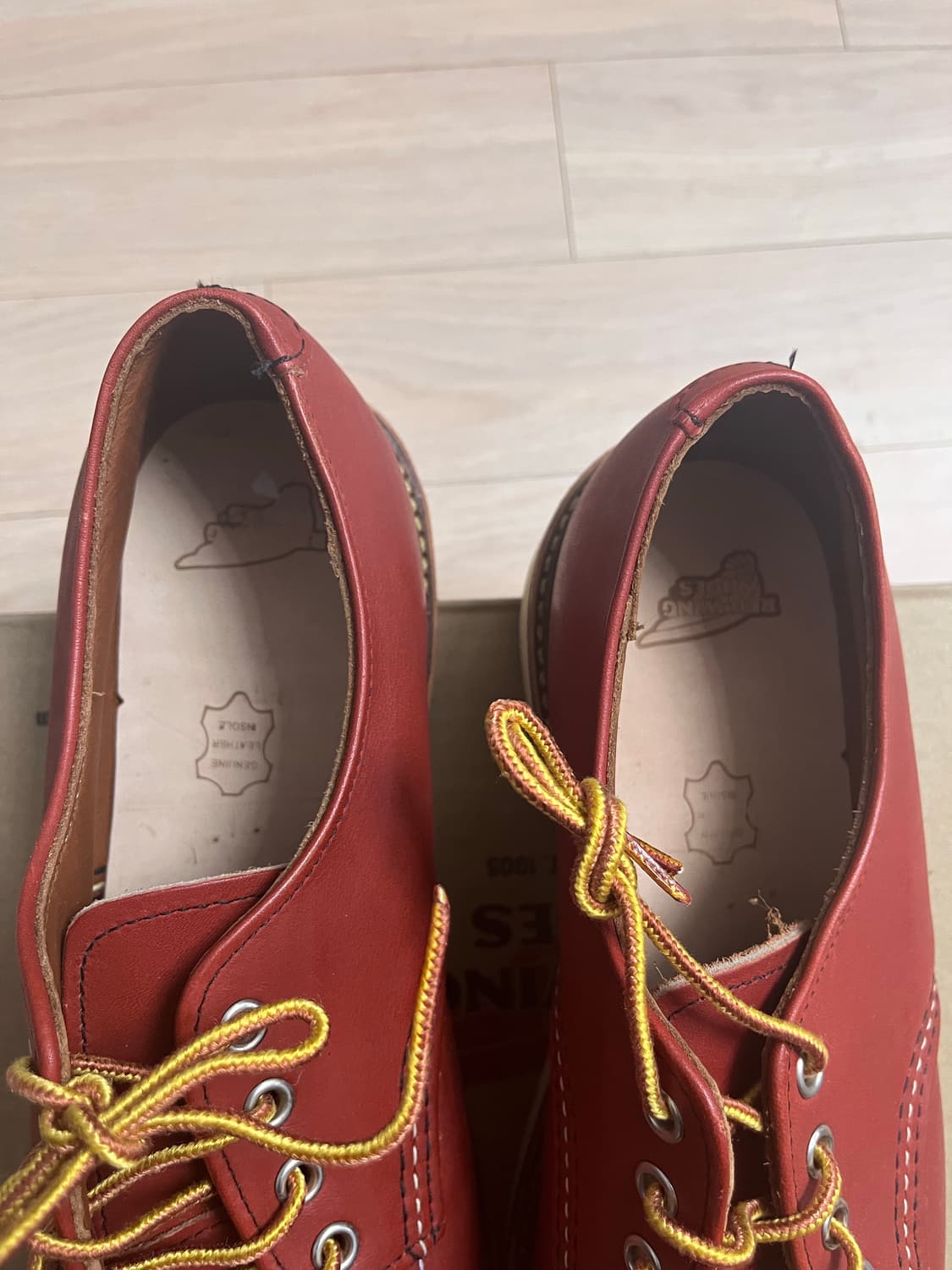 레드윙 8103 옥스포드 오로레거시 새상품 상품이미지3