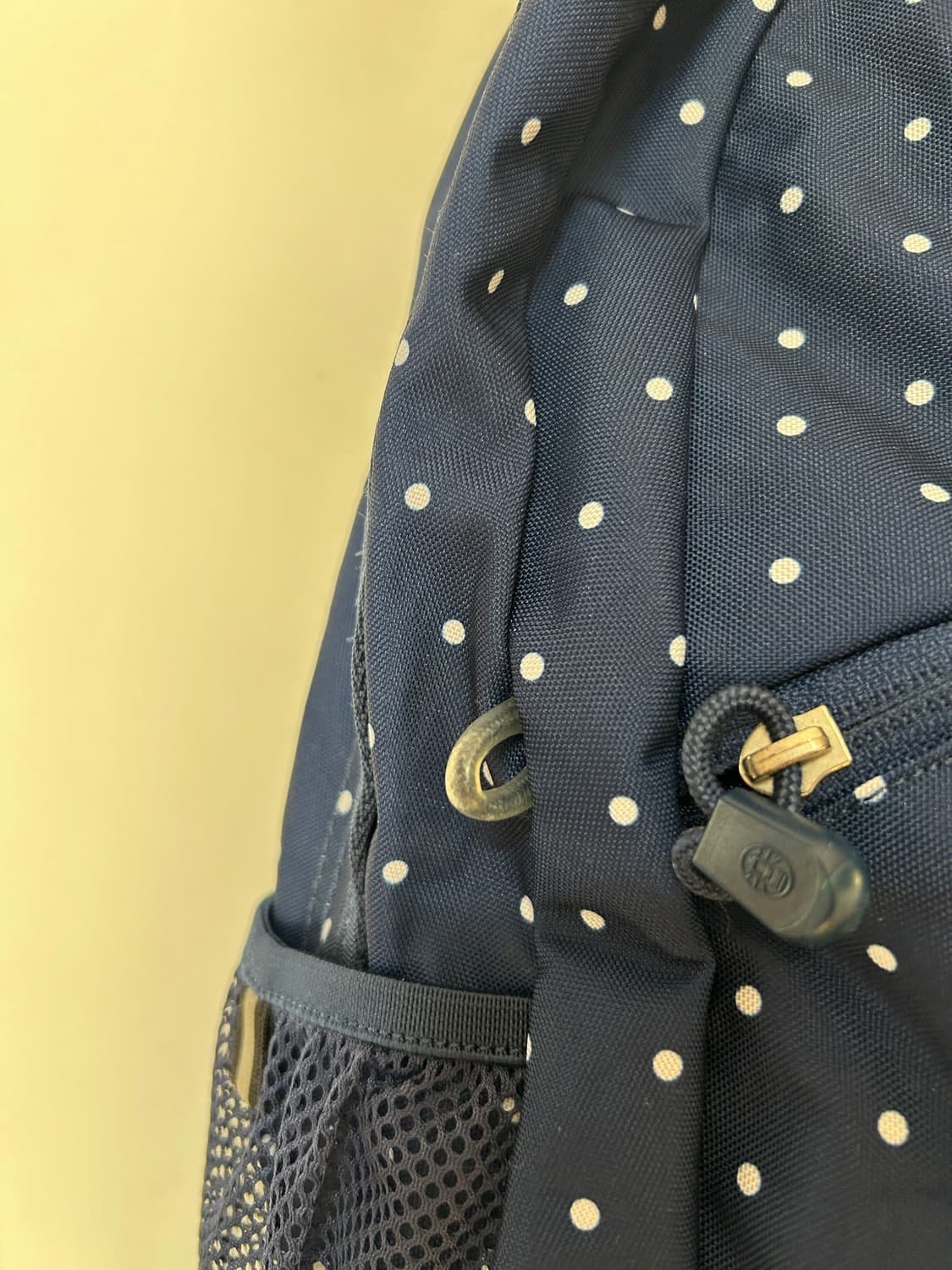 콜맨 땡땡이 백팩  상품이미지3