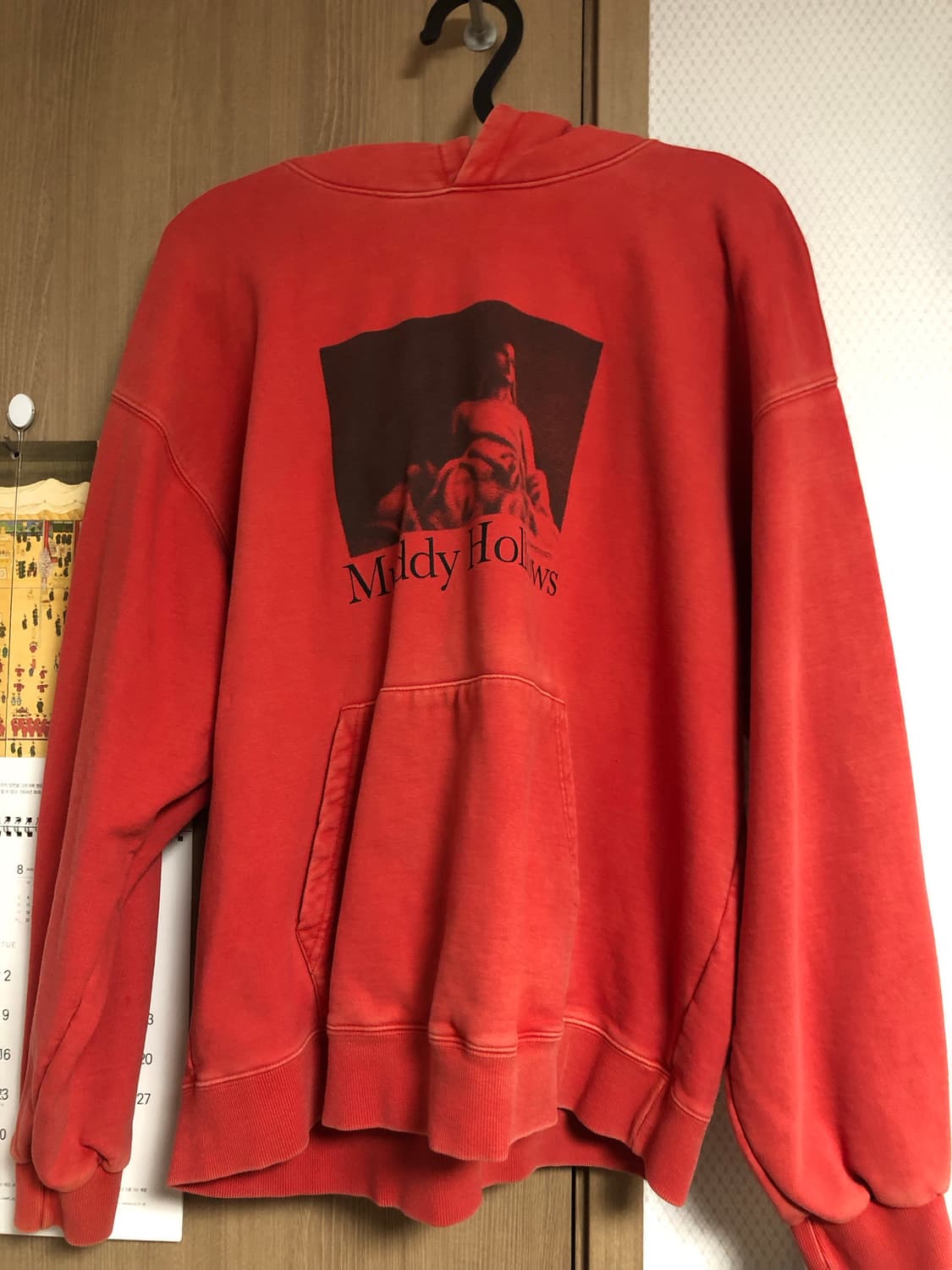 (XL) BACK AND FORTH 후드 상품이미지3