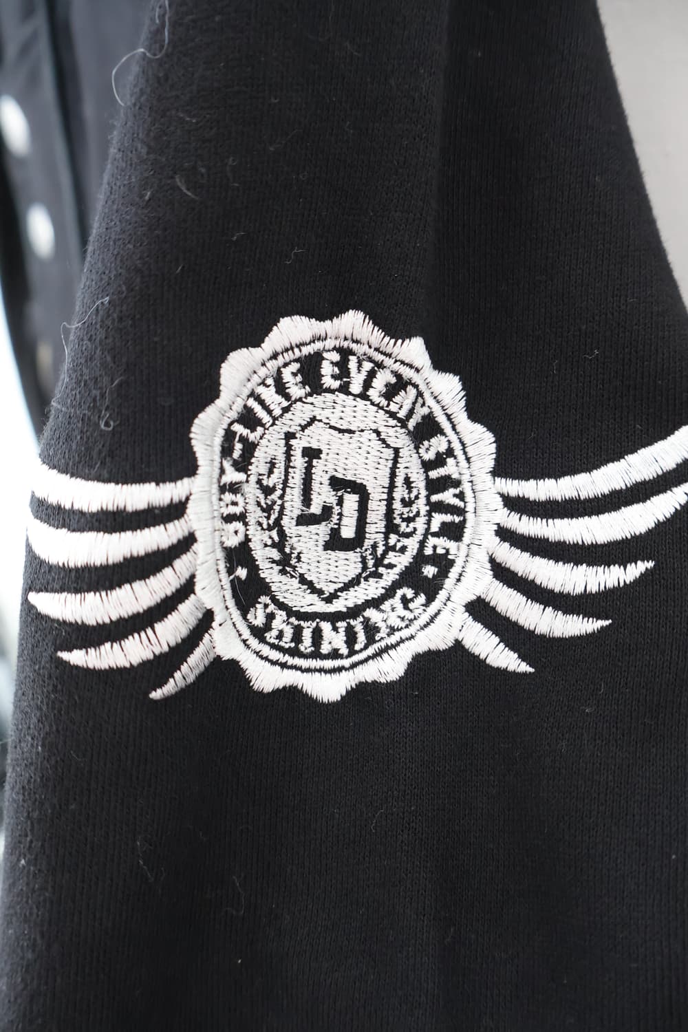 LIZ LISA Y2k Wing Graphic Hooded Jacket 상품이미지8