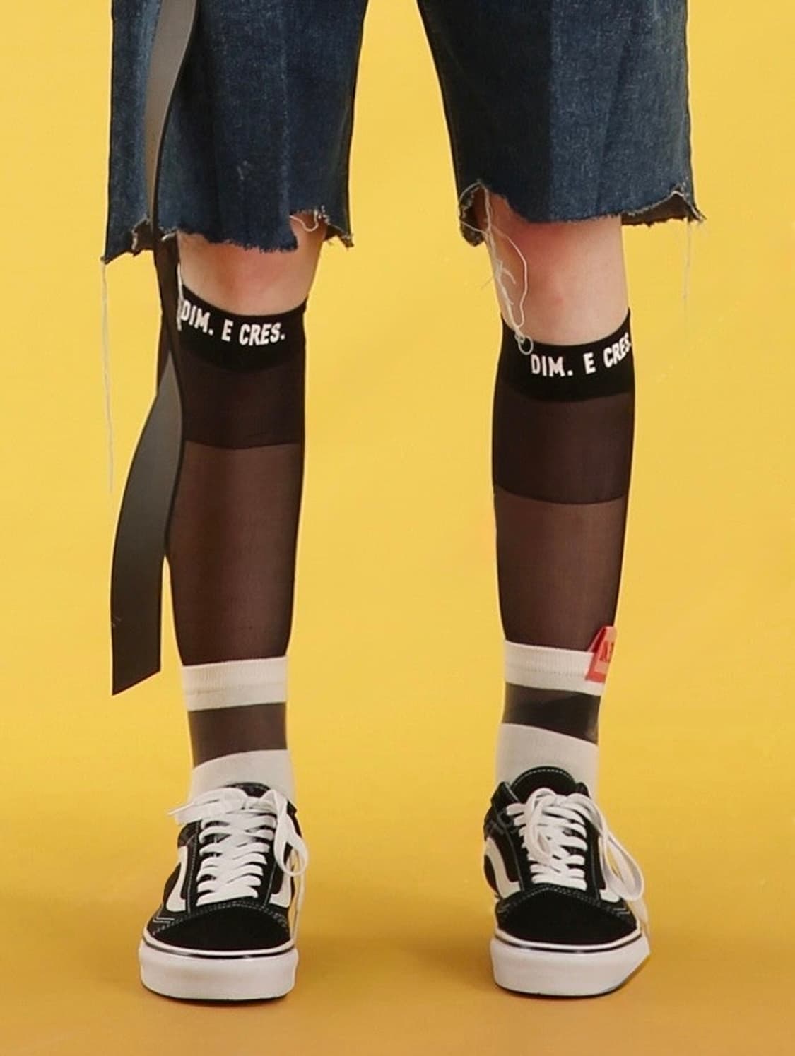 딤에크레스 시스루 로고 니삭스 블랙 상품이미지2