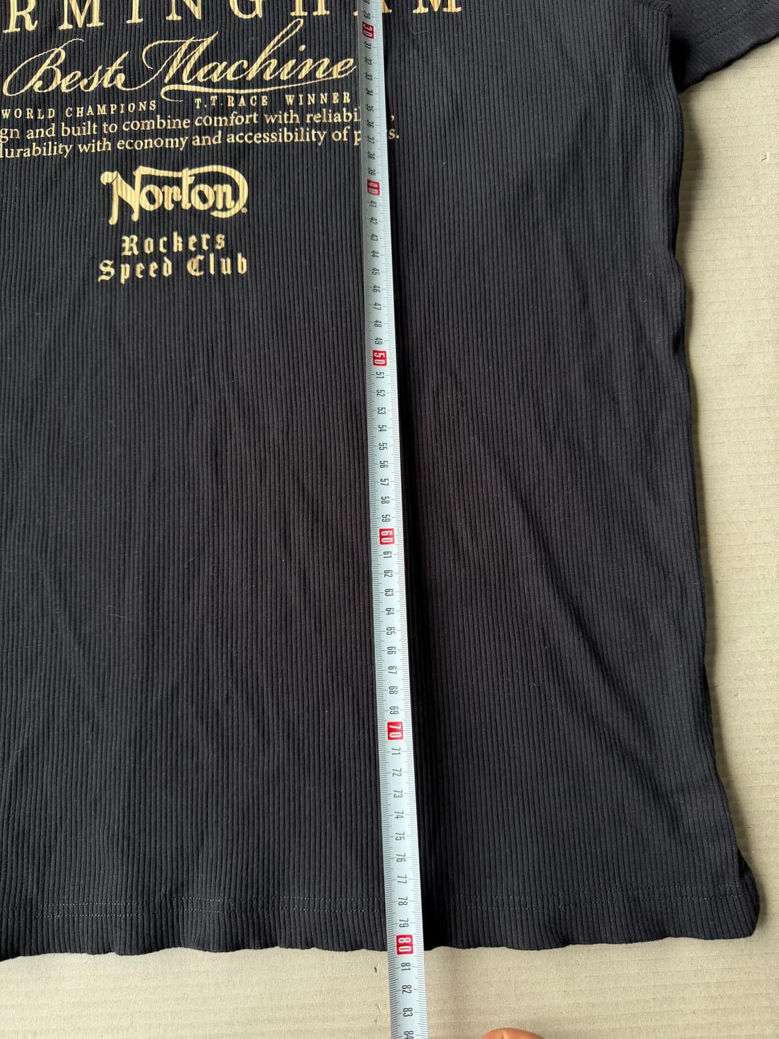 Norton 골드 메탈 이글 자수 골지 폴로 셔츠 상품이미지8