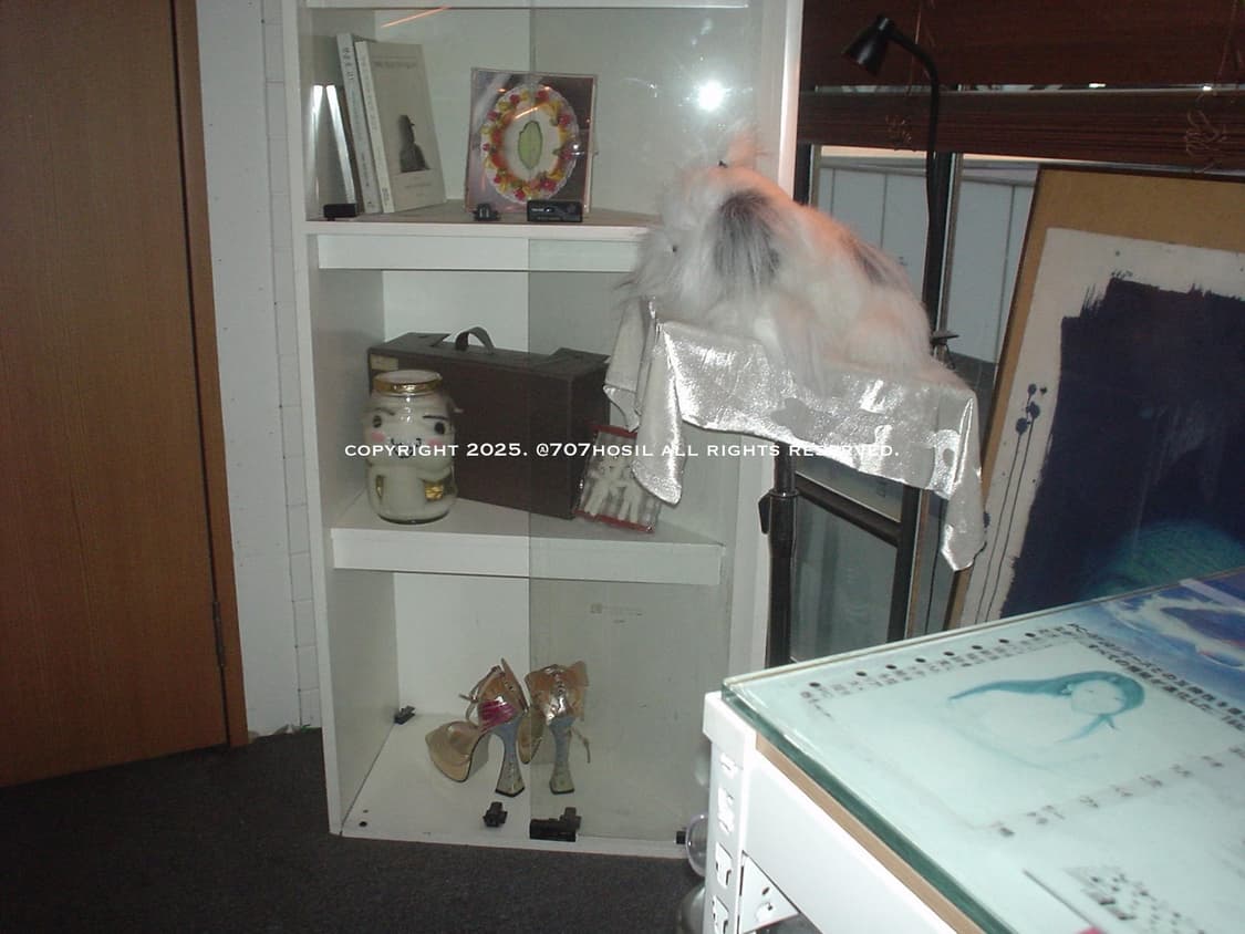 SONY CYBERSHOT 소니 사이버샷 U10 초미니 오렌지 디카 상품이미지4