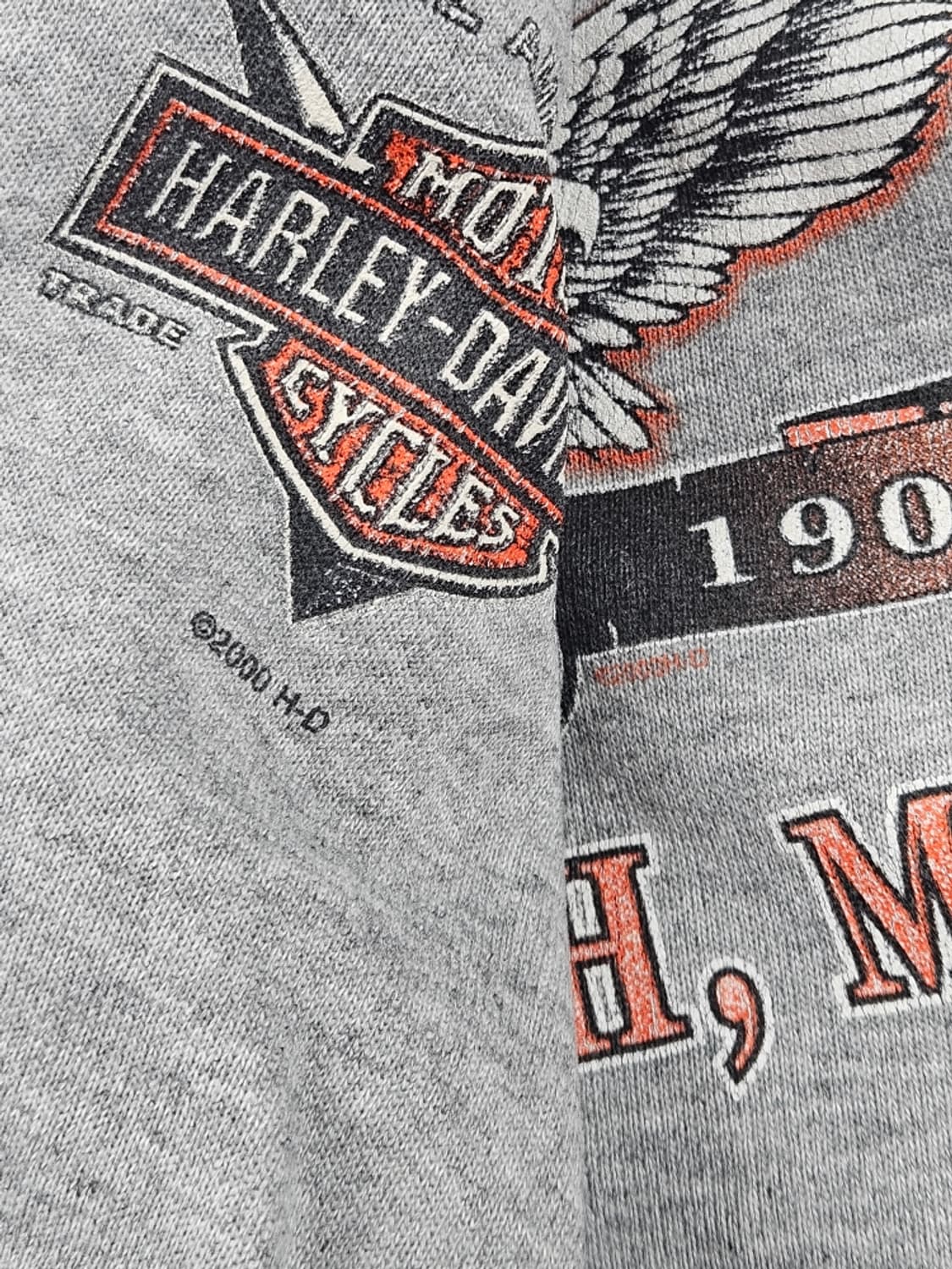 2000 할리데이비슨 덜루스 모터스포츠 스웻집업 (2XL) / 11323 상품이미지10