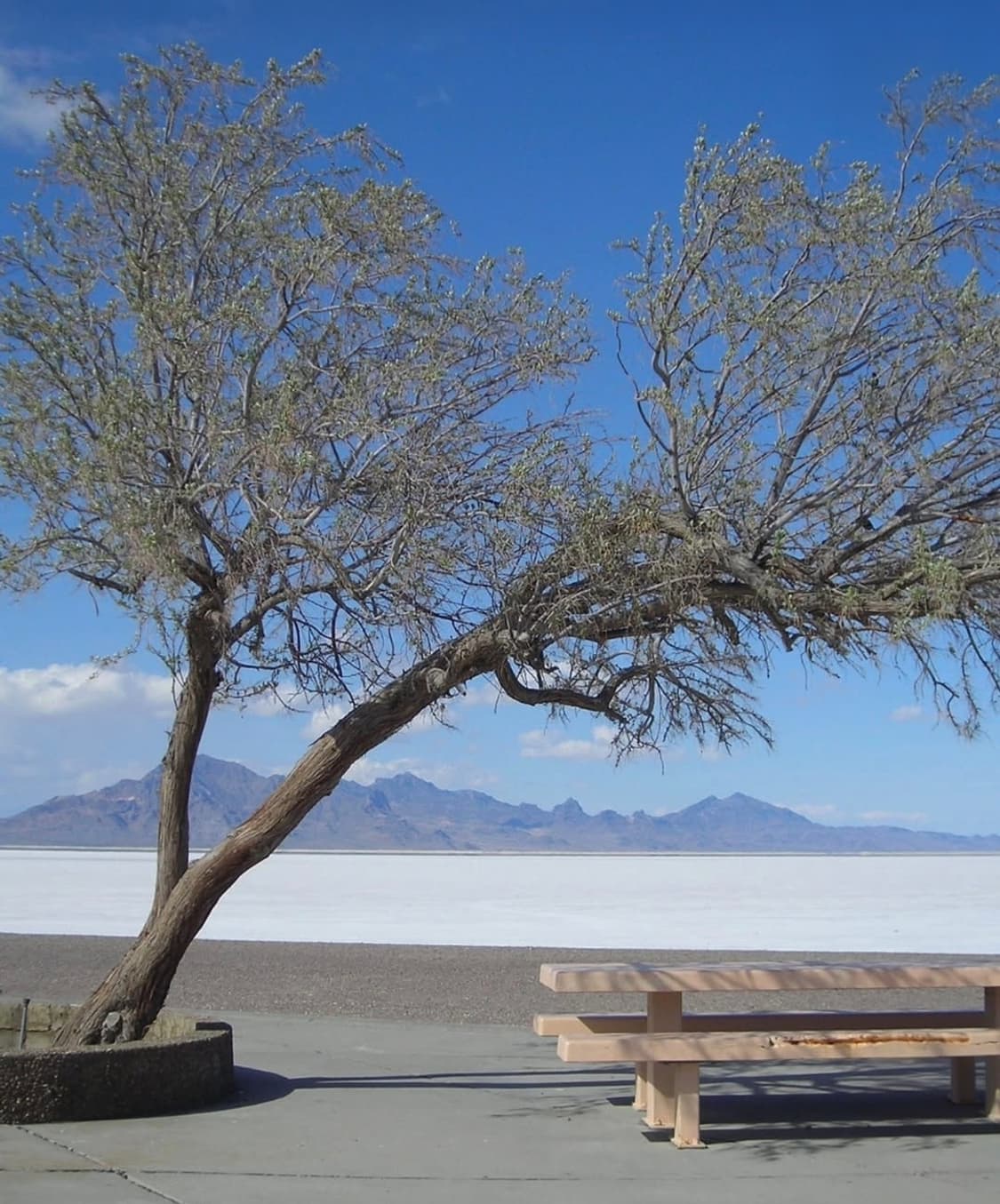 한글디카🤍니콘 쿨픽스 L2 ✨
깨끗하고 사랑스러운 빈티지 감성 🤍 상품이미지10