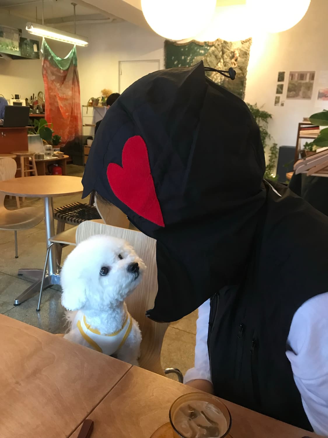 더뮤지엄비지터 조끼후드 상품이미지1