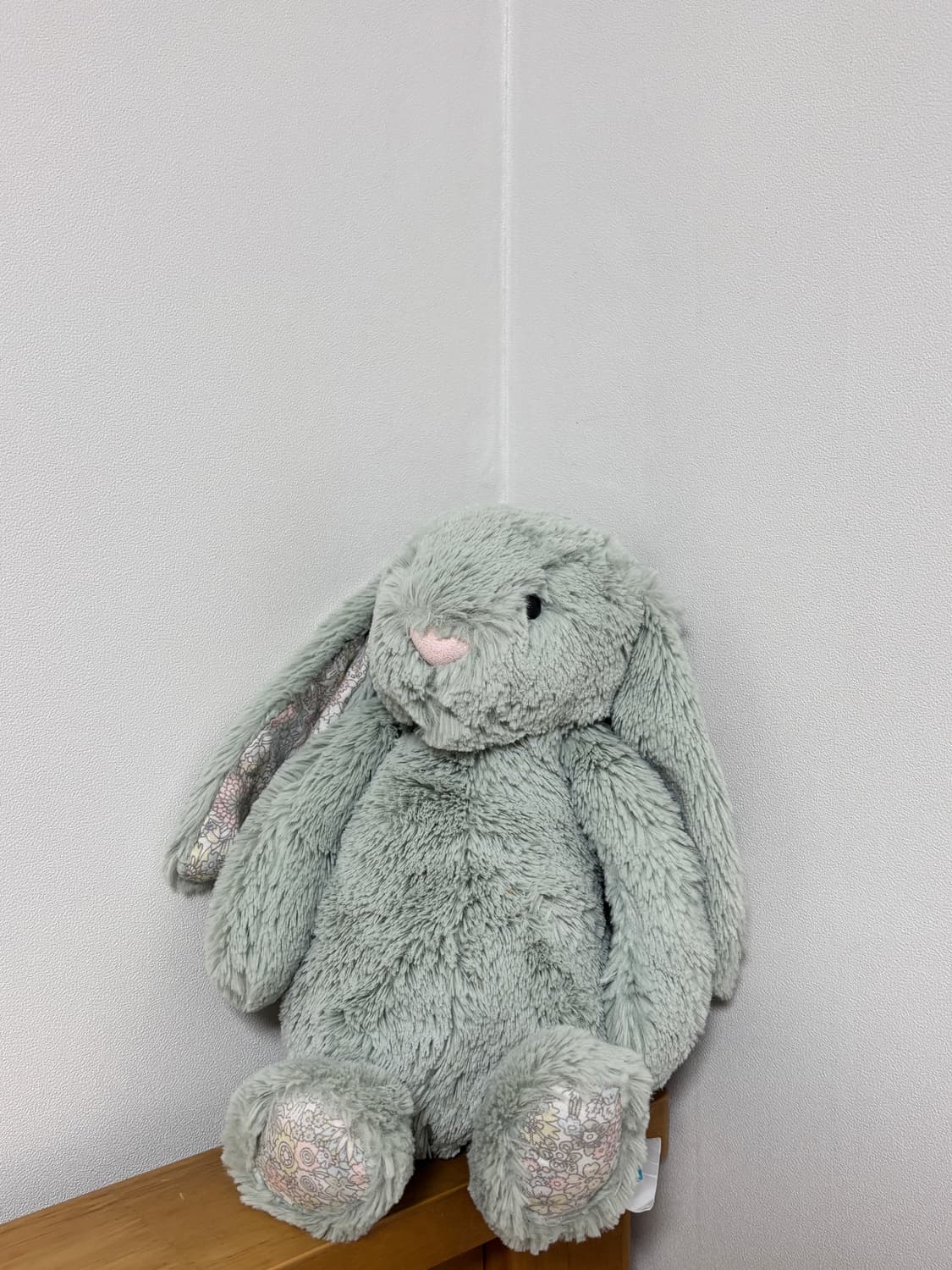 젤리캣 블라썸버니 세이지 / 미디움 상품이미지2