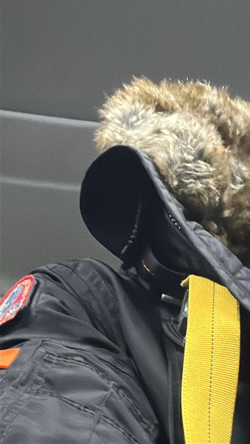 파라점퍼스 고비 블랙 패딩 xs 상품이미지3