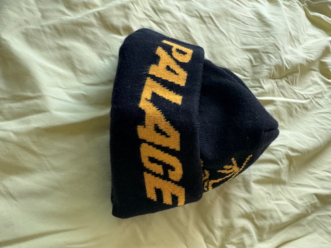 아크테릭스 팔라스 비니 상품이미지4