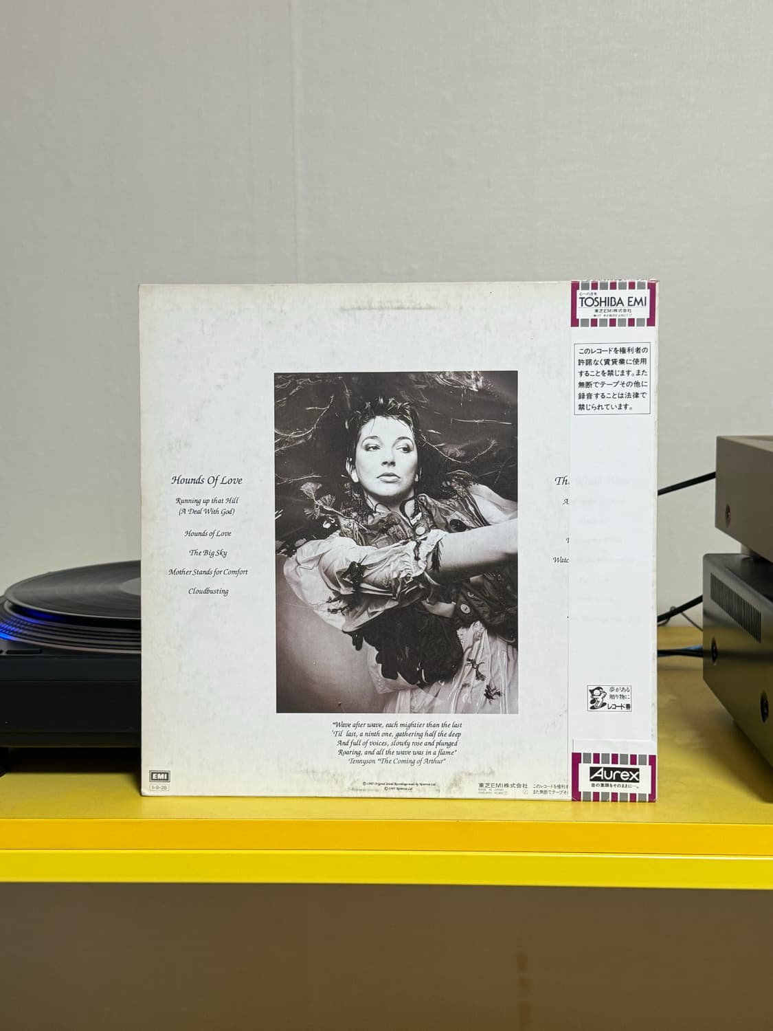 Kate Bush 기묘한 이야기 LP 판매해요 상품이미지2