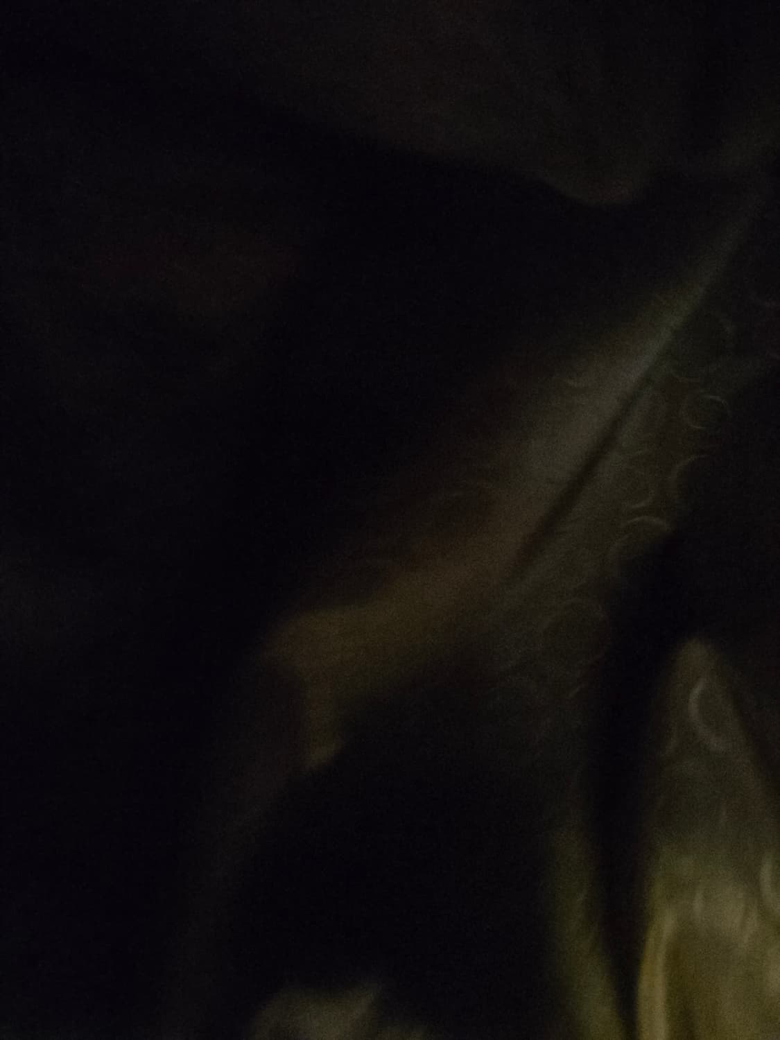 도호 양가죽 브라운 자켓 상품이미지6