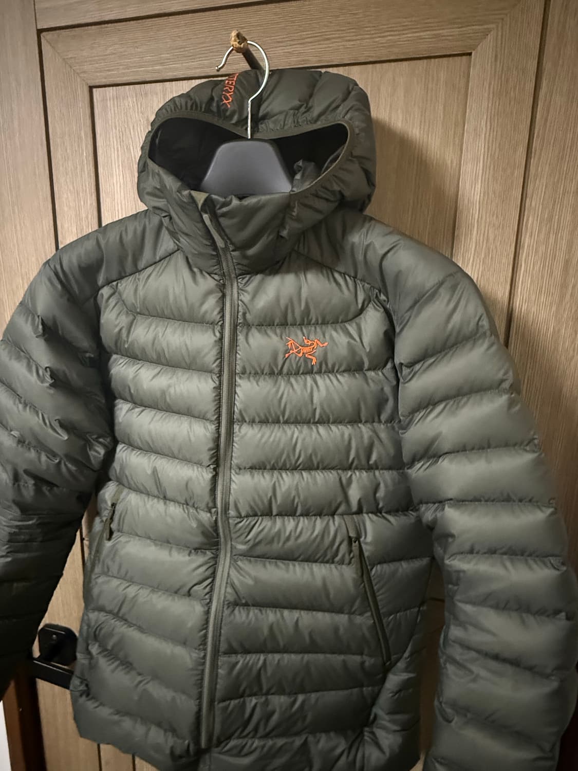 아크테릭스 25FW 세륨 후디 포리지베르베 상품이미지2