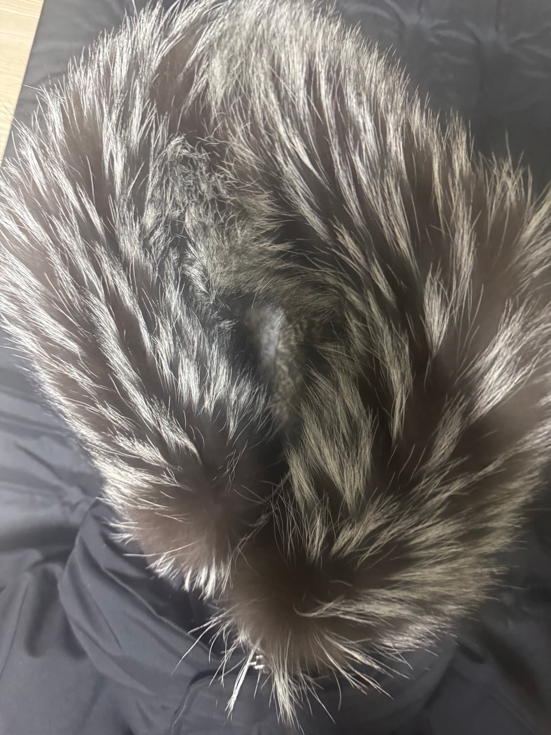 맥케이지딕슨36사이즈 상품이미지2