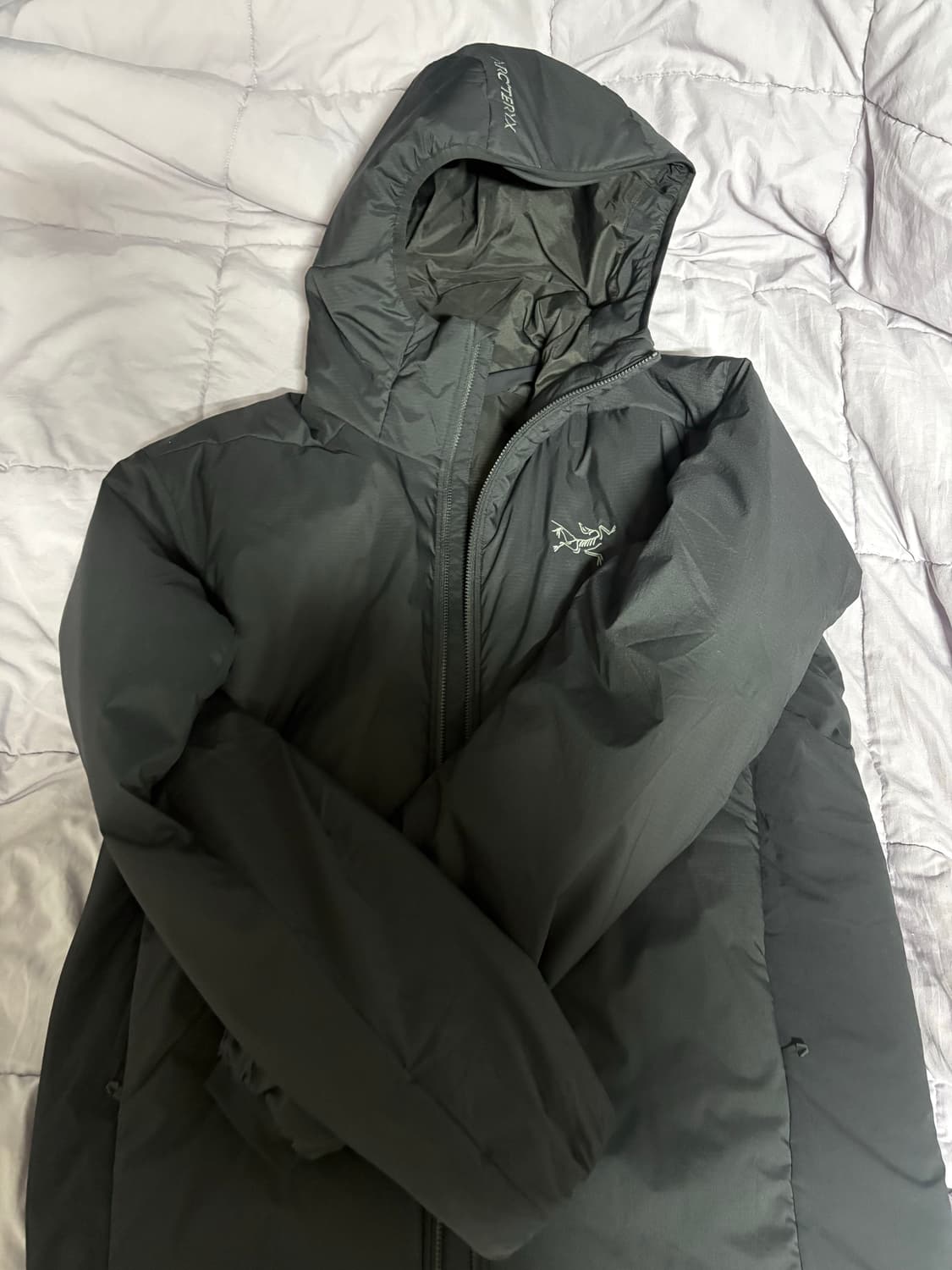 아크테릭스 아톰 SV 후디 블랙 M 상품이미지2