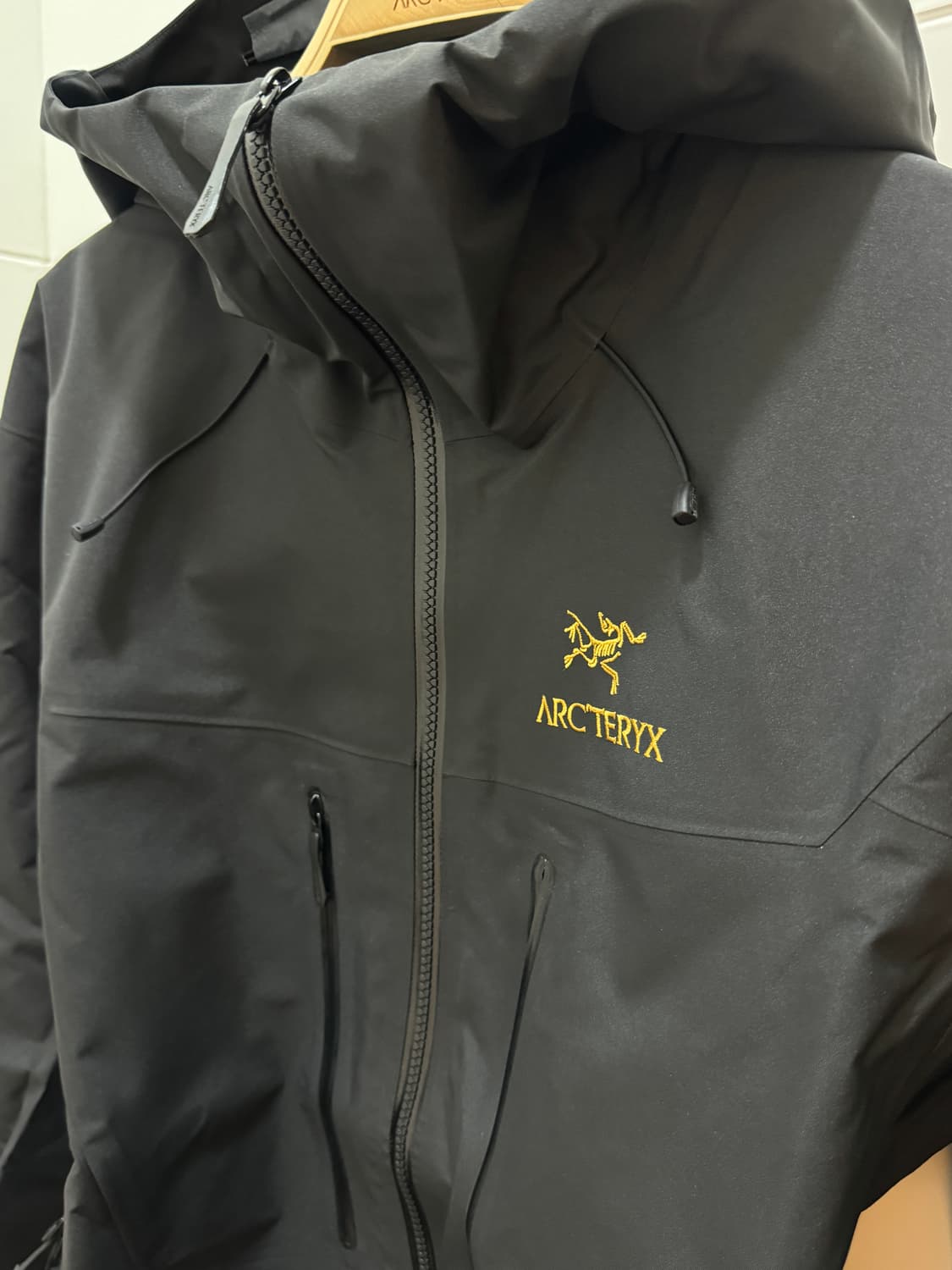 아크테릭스 알파SV 자켓 상품이미지2