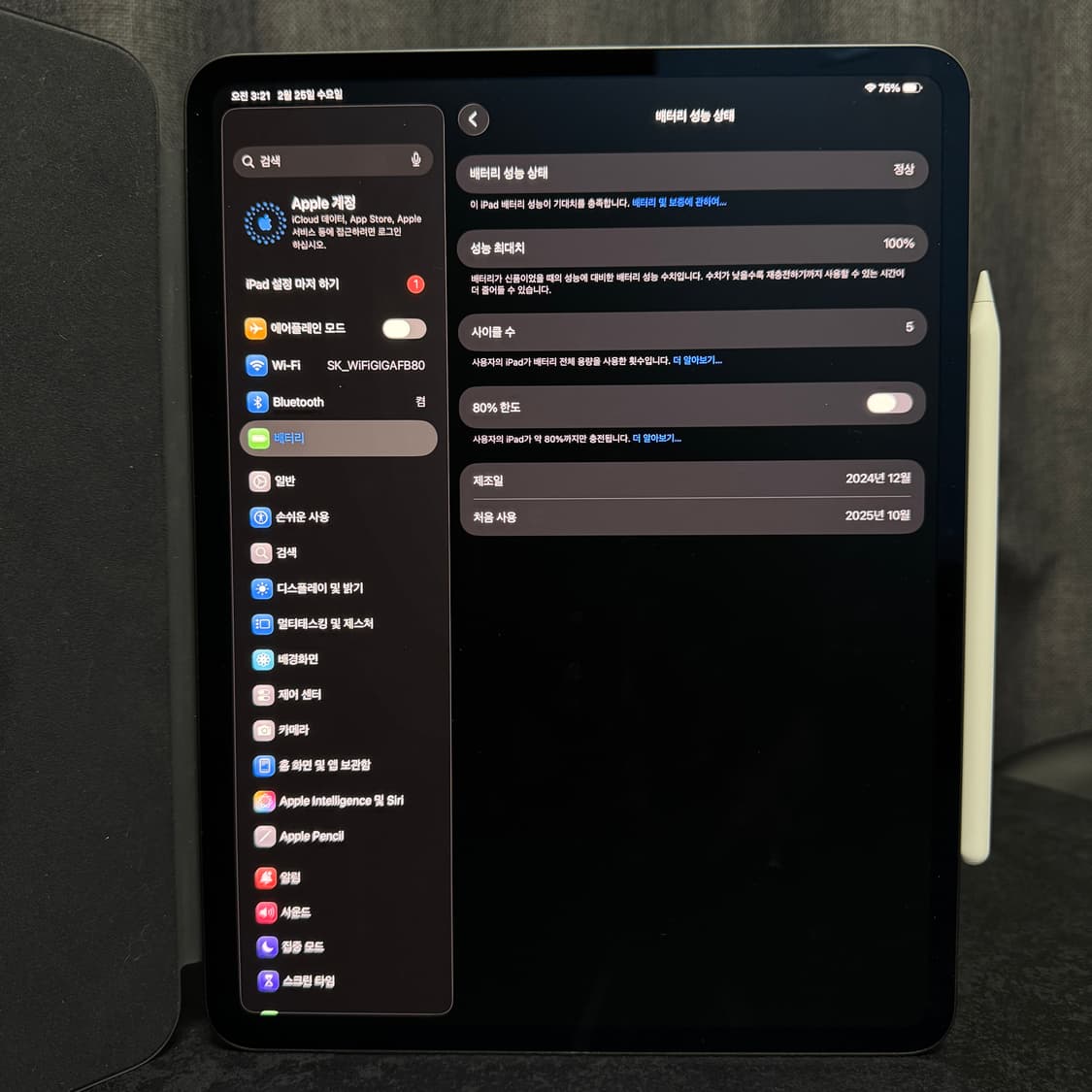 애플 아이패드 프로 13인치 M4 스페이스 그레이 2024년형 새상품 상품이미지8
