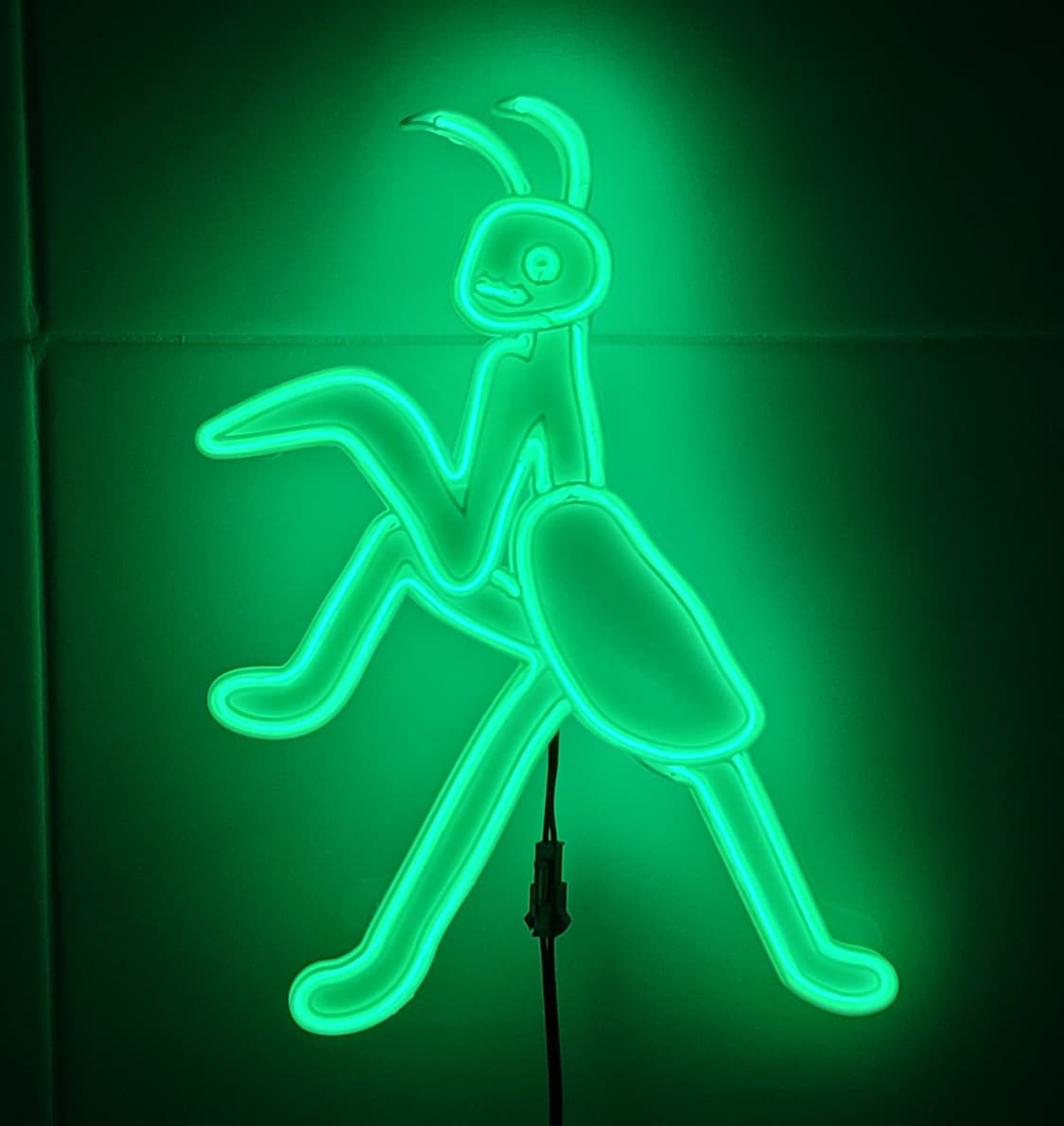 사마귀 네온사인 조명 led 램프 무드등 상품이미지1