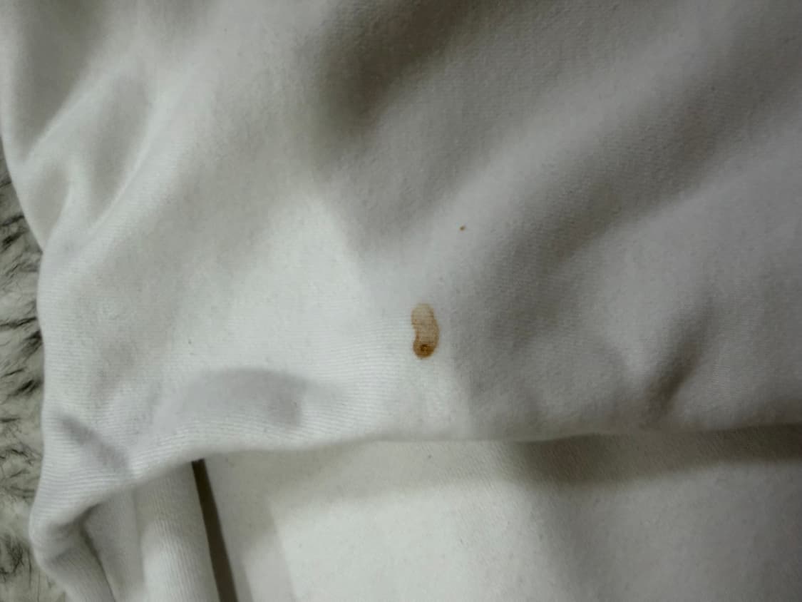 [L] 핼무트 랭 레드 로고 후드집업 상품이미지6