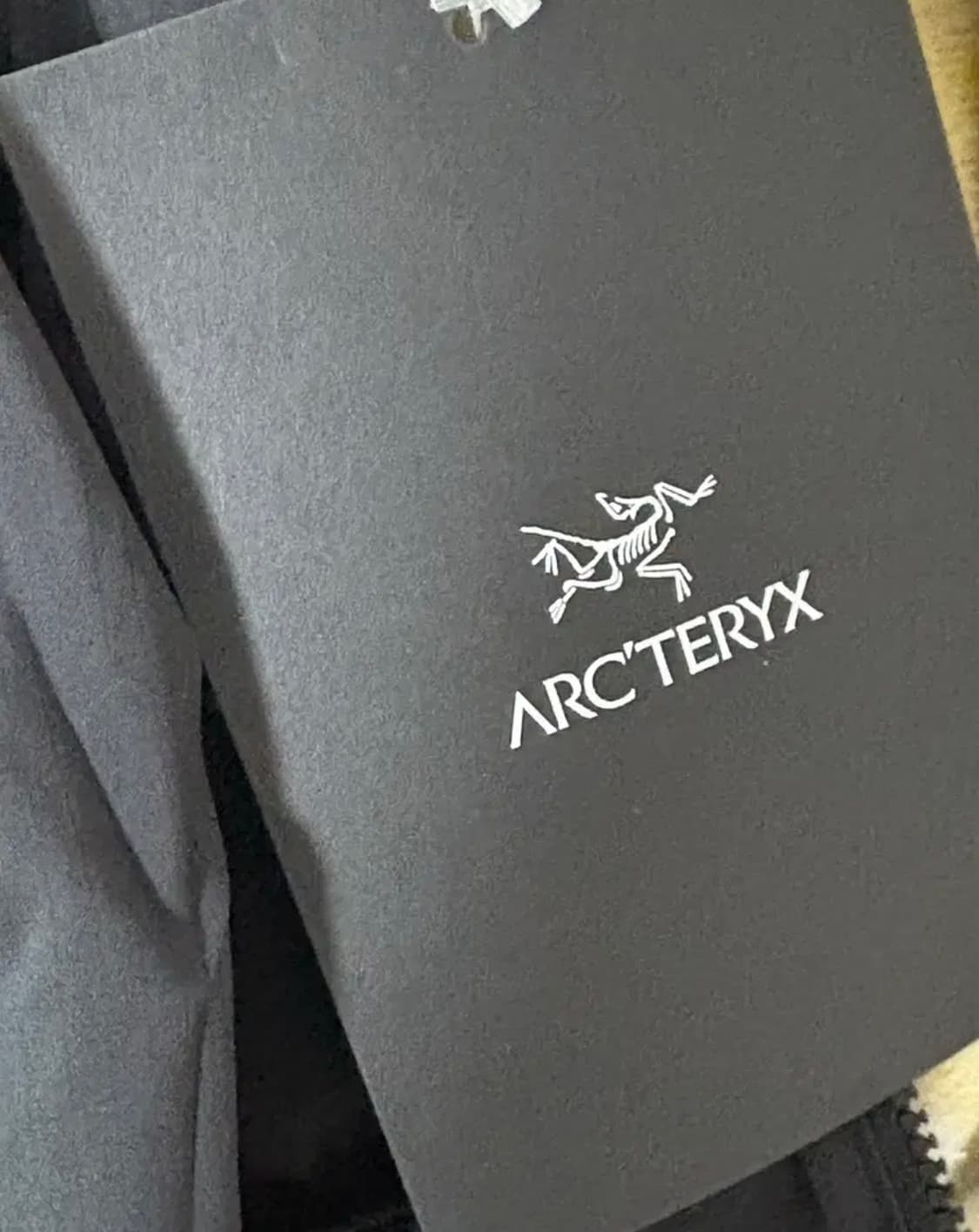 아크테릭스 스쿼미시 후디 블랙 상품이미지2