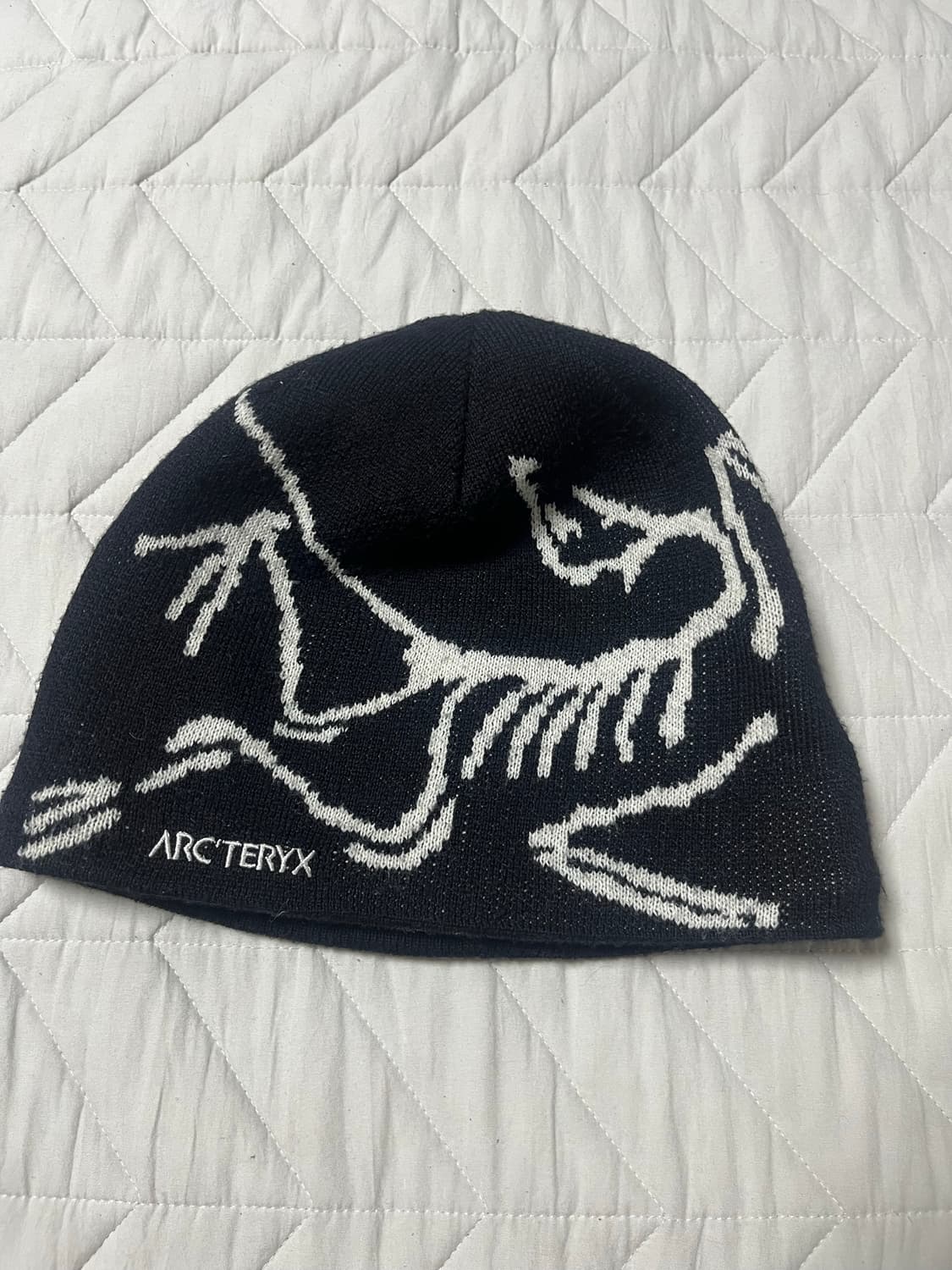 아크테릭스 버드 비니 상품이미지1