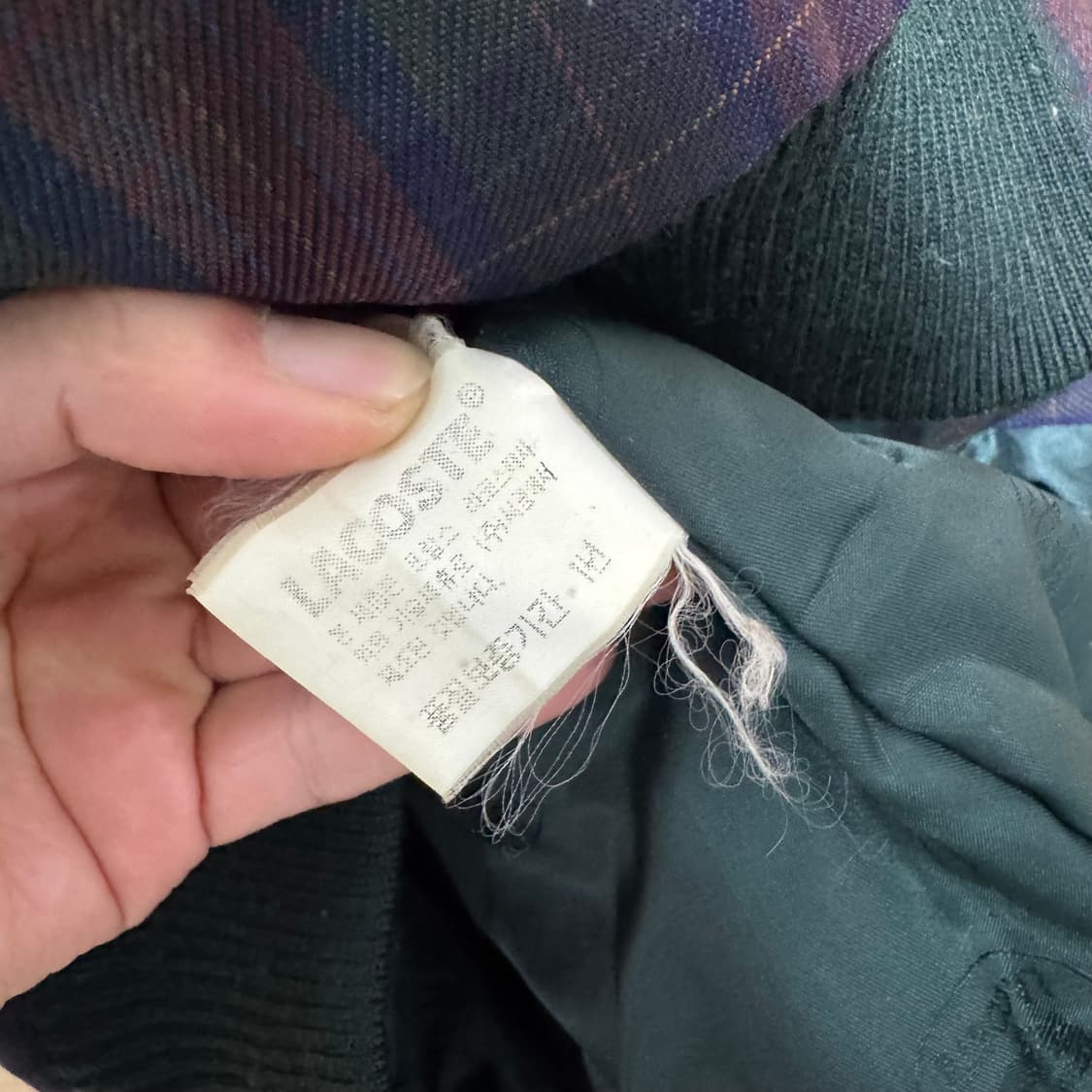 라코스테 자켓 상품이미지4