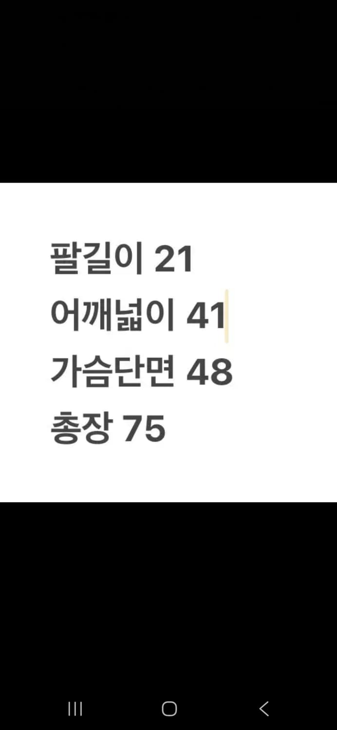 [정품/XL] 버버리 체크 카라 반팔 폴로티 c1 상품이미지8