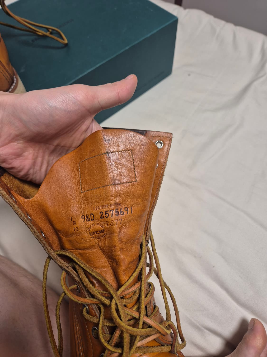 레드윙 아이리쉬세터 9877 판매합니다. 상품이미지9