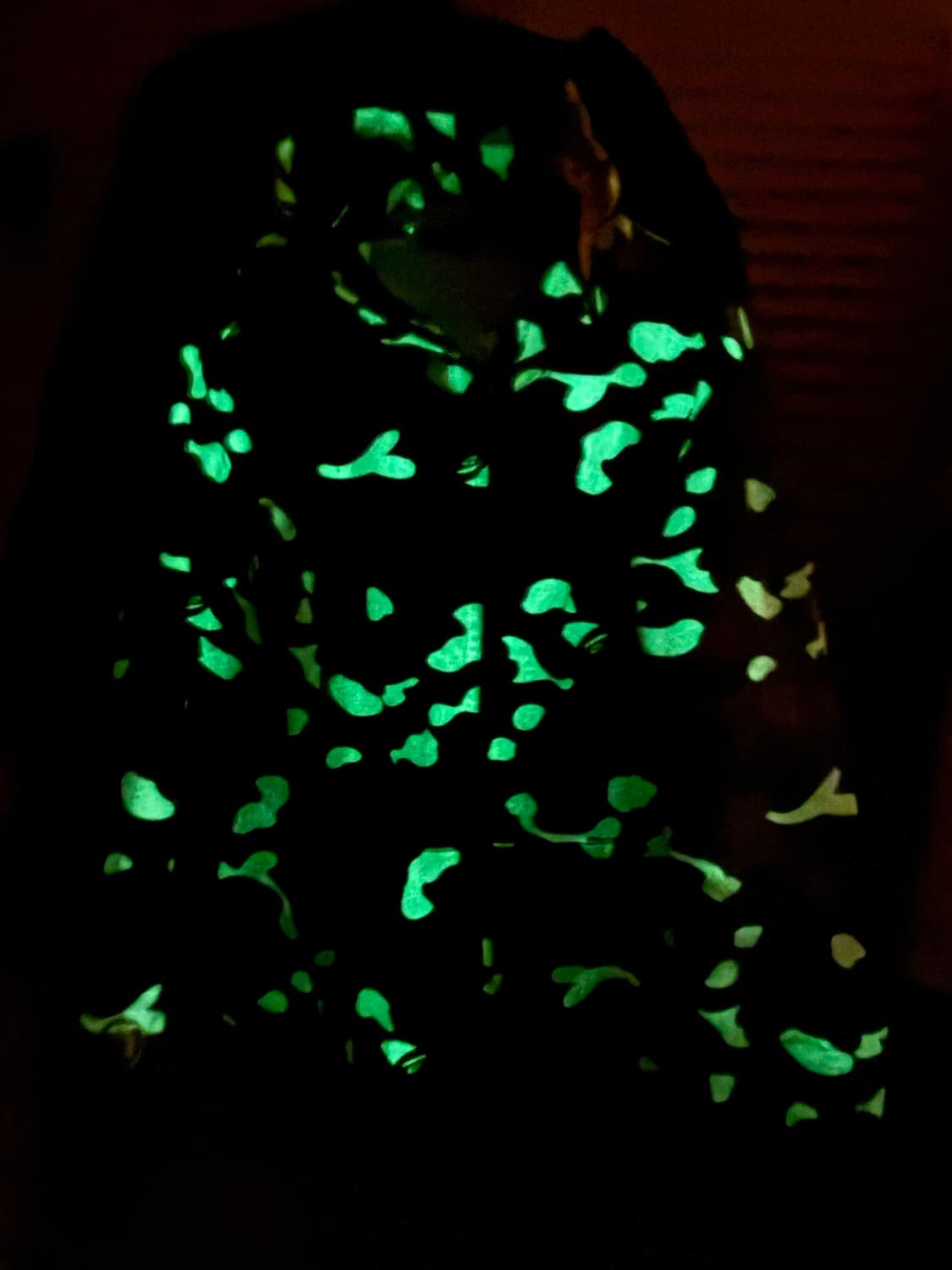 베이프 야광 샤크 후드집업 상품이미지2