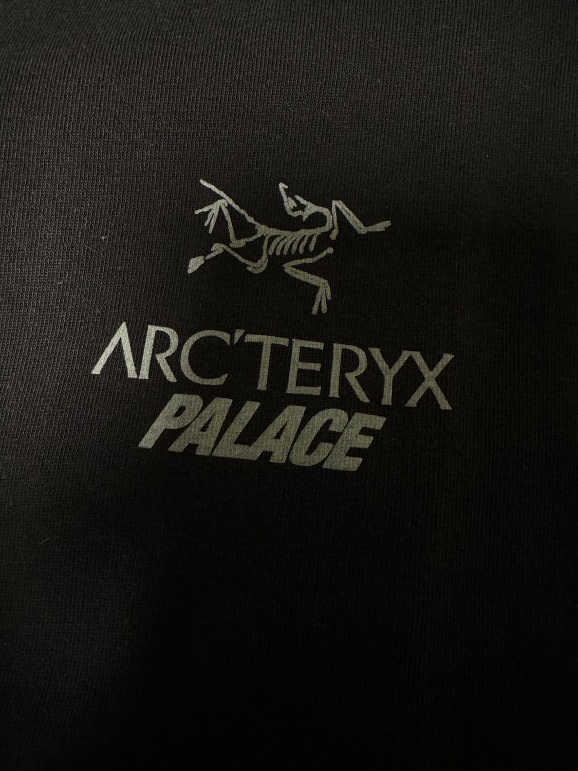 Palace x Arcteryx 팔라스 아크테릭스 티셔츠 상품이미지4
