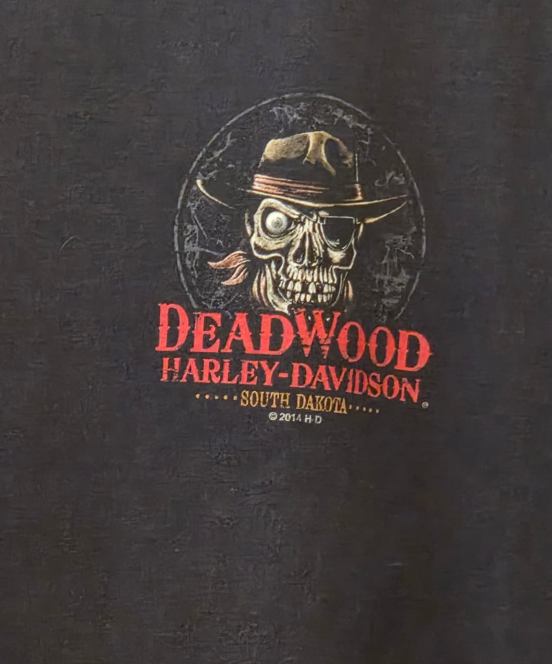 2014 Harley-Davidson “Deadwood Jack" 상품이미지5