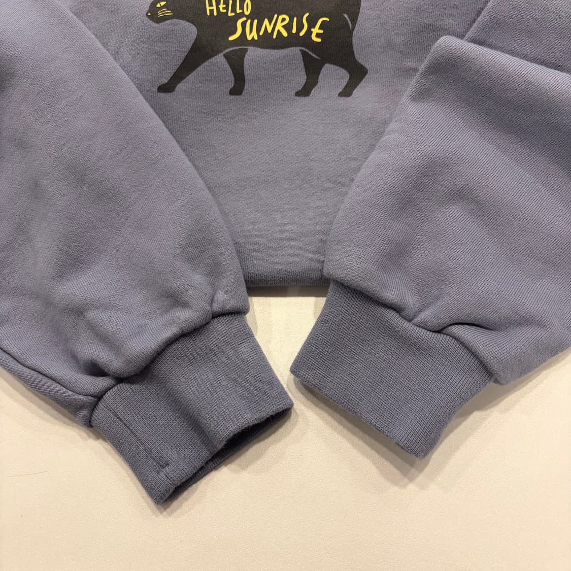 [M] 헬로선라이즈 고양이 프린팅 맨투맨 스모키 블루 B447 상품이미지8