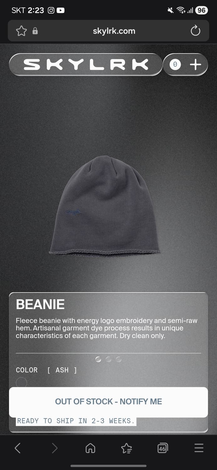 Skylrk 비니 ash 상품이미지1