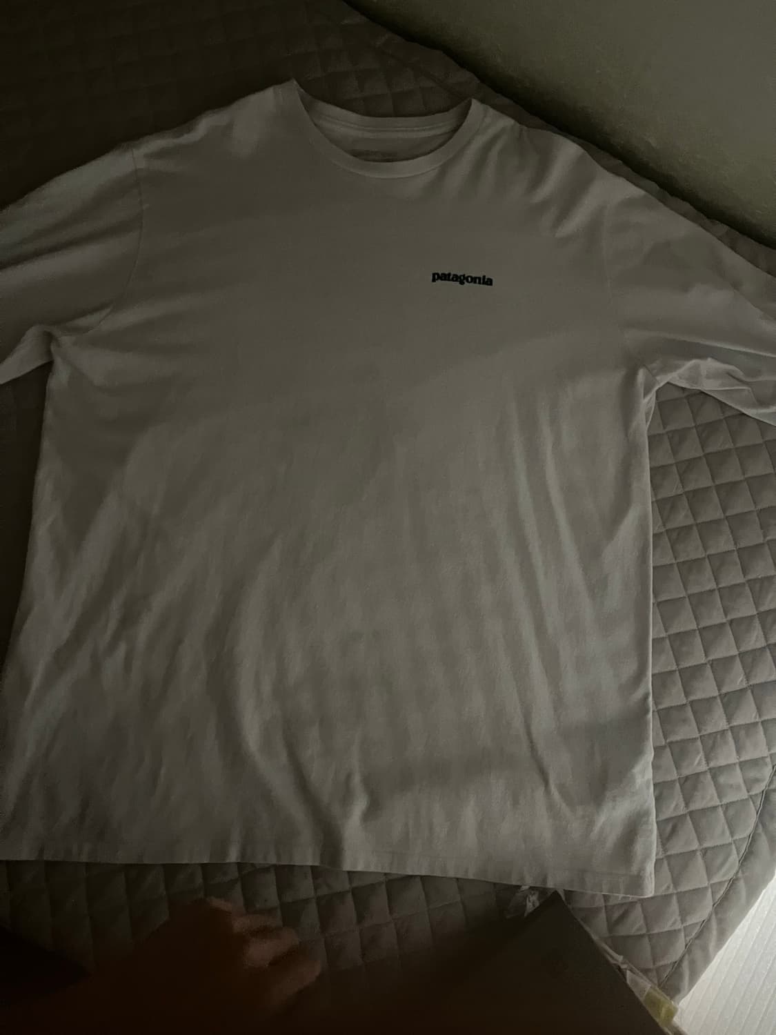 파타고니아 긴팔티 라지 상품이미지2