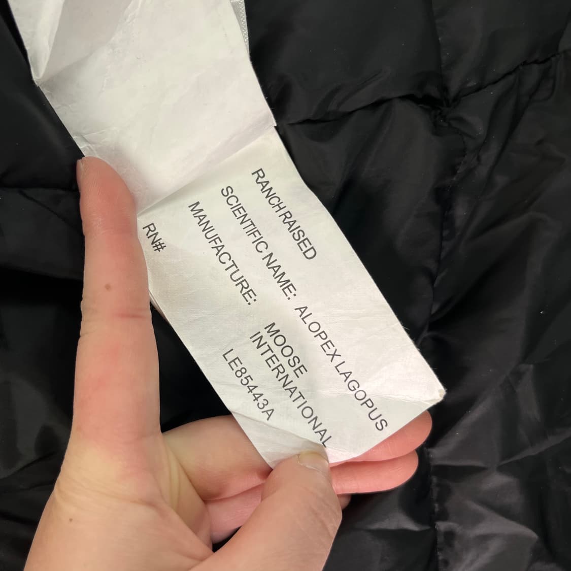 100 무스너클 스틸링 블랙 폭스퍼 구스다운 롱패딩 상품이미지8