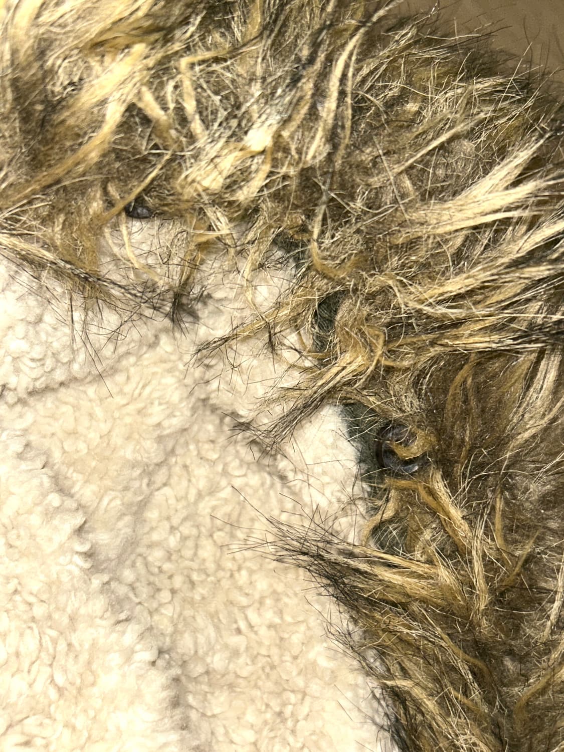 Hollister 홀리스터 카키 울프죠 자켓 xs 상품이미지3