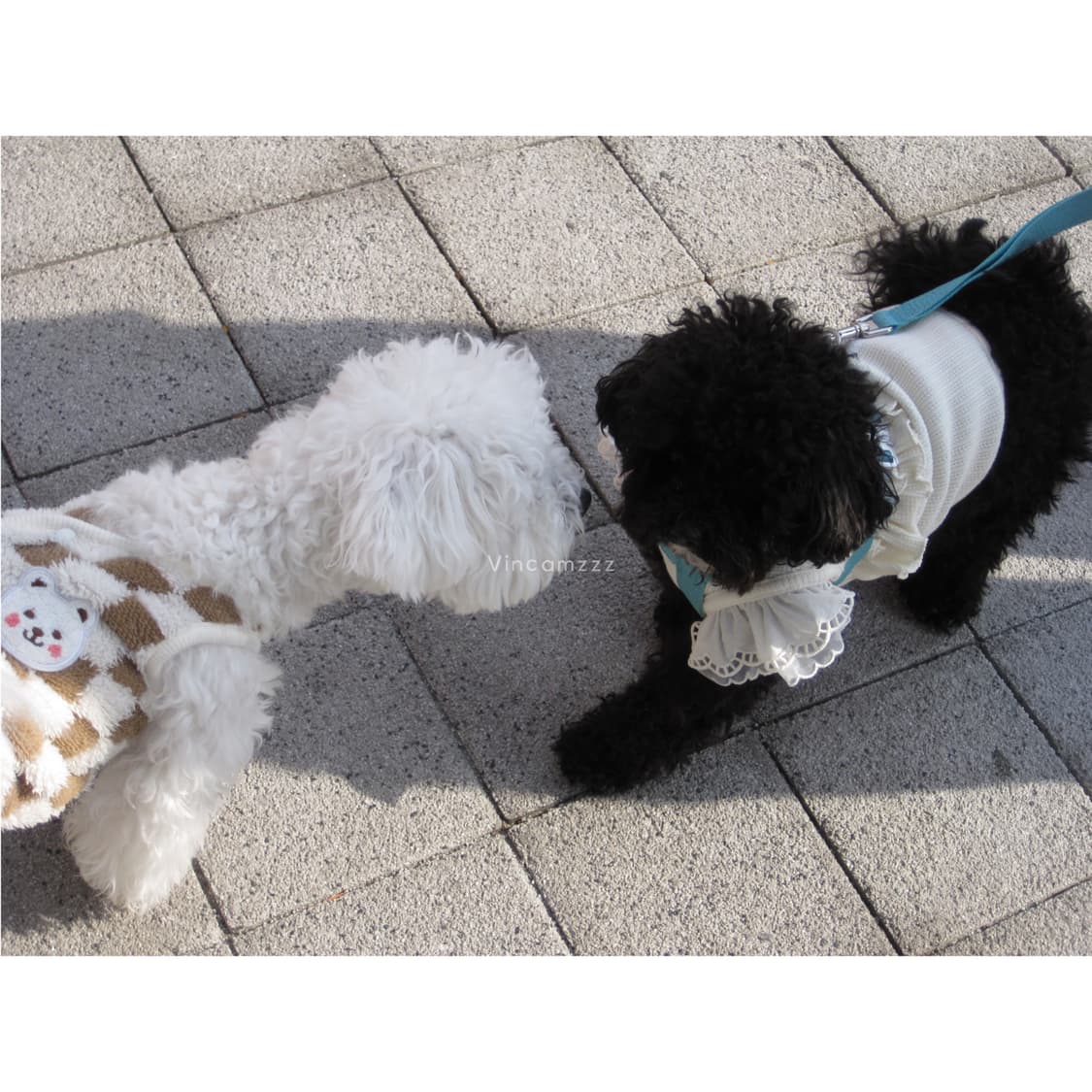 Canon 캐논 IXUS 익서스 95is (파워샷 SD1200is) 상품이미지6